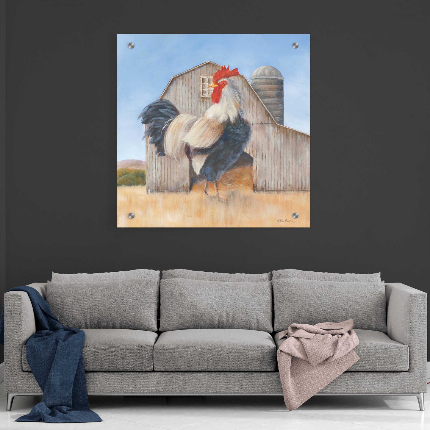 Epic Art 'Country Rooster' by Pam Britton, Acrylic Glass Wall Art,36x36