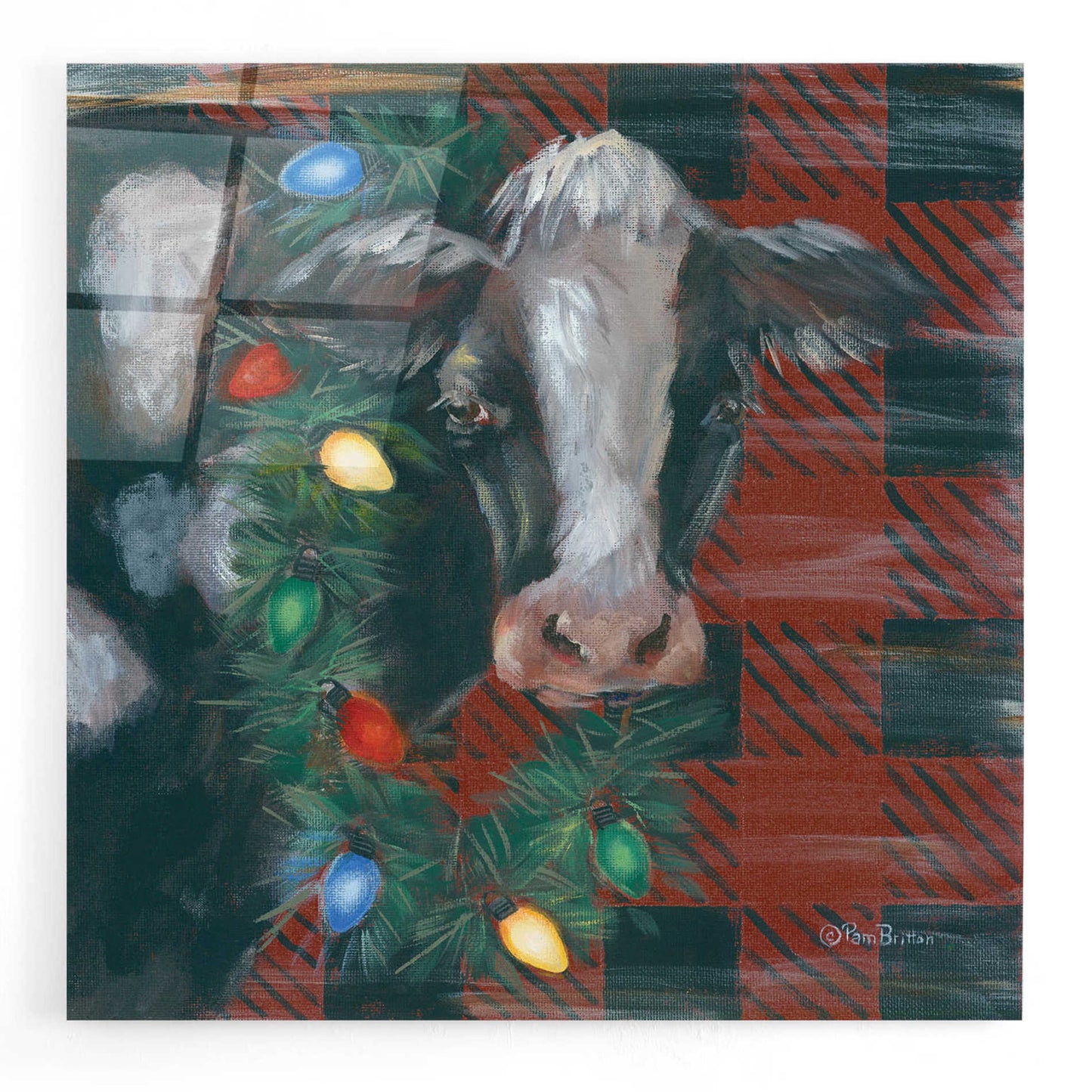 Epic Art 'Festive Cow' by Pam Britton, Acrylic Glass Wall Art,12x12