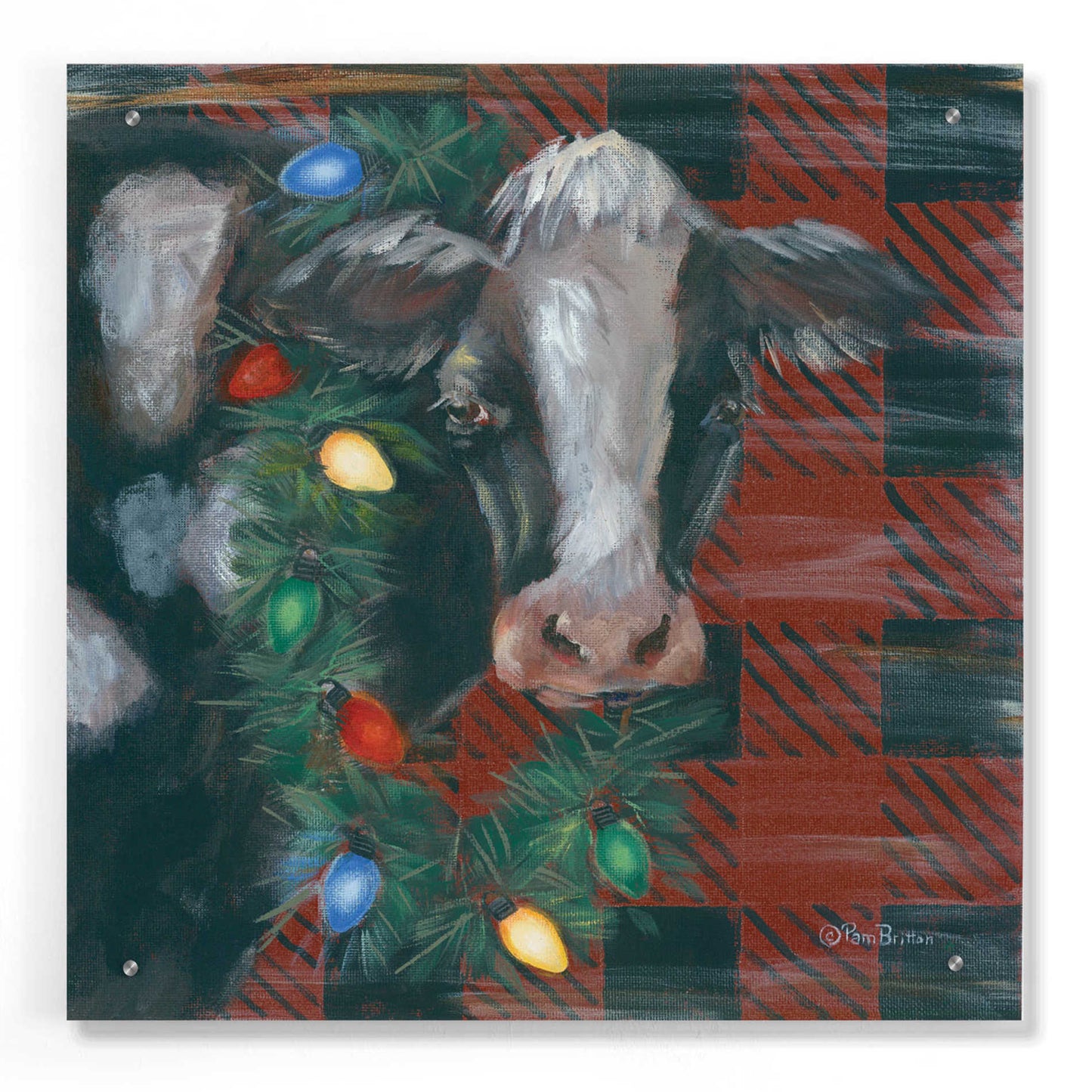 Epic Art 'Festive Cow' by Pam Britton, Acrylic Glass Wall Art,24x24