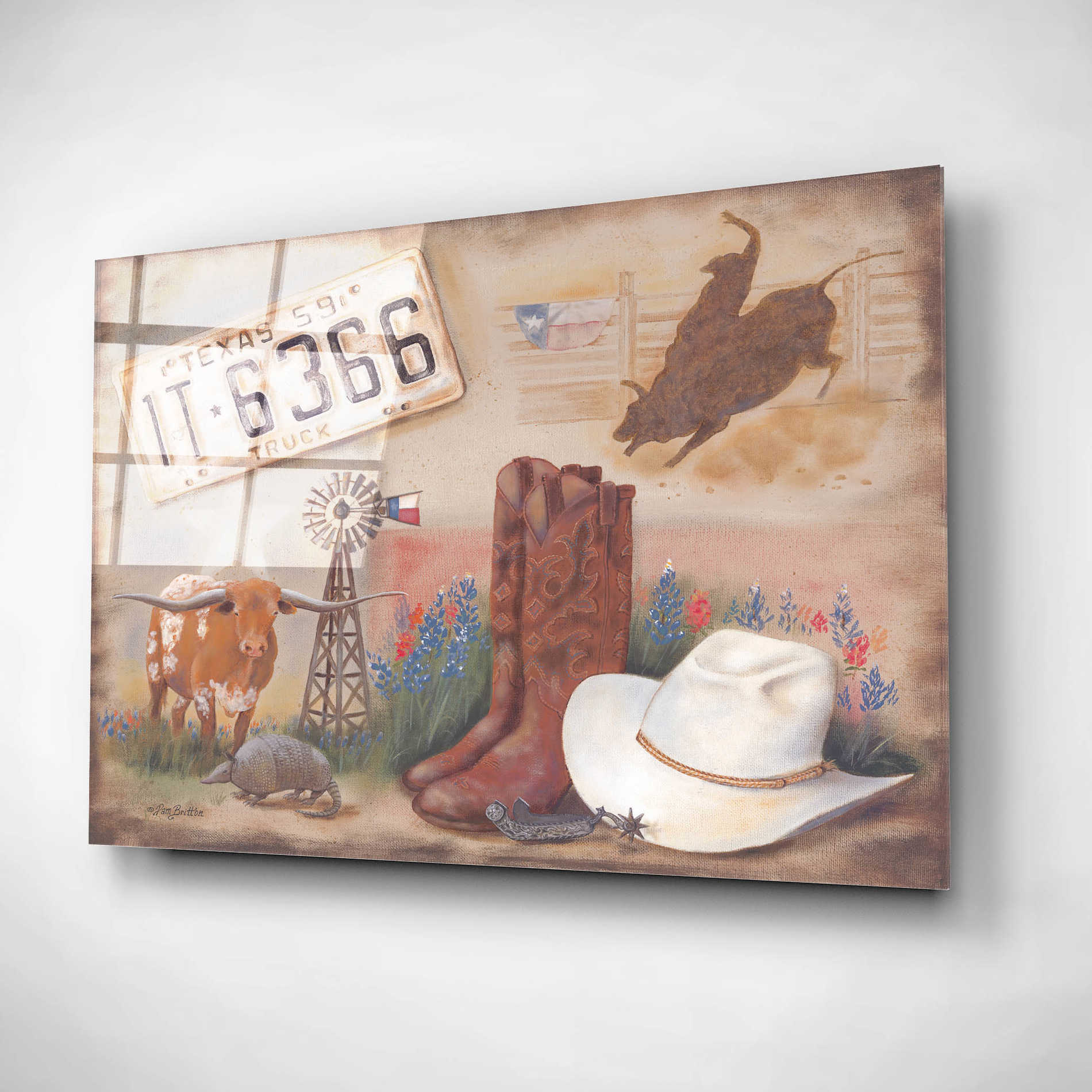 Epic Art 'Texas' by Pam Britton, Acrylic Glass Wall Art,24x16