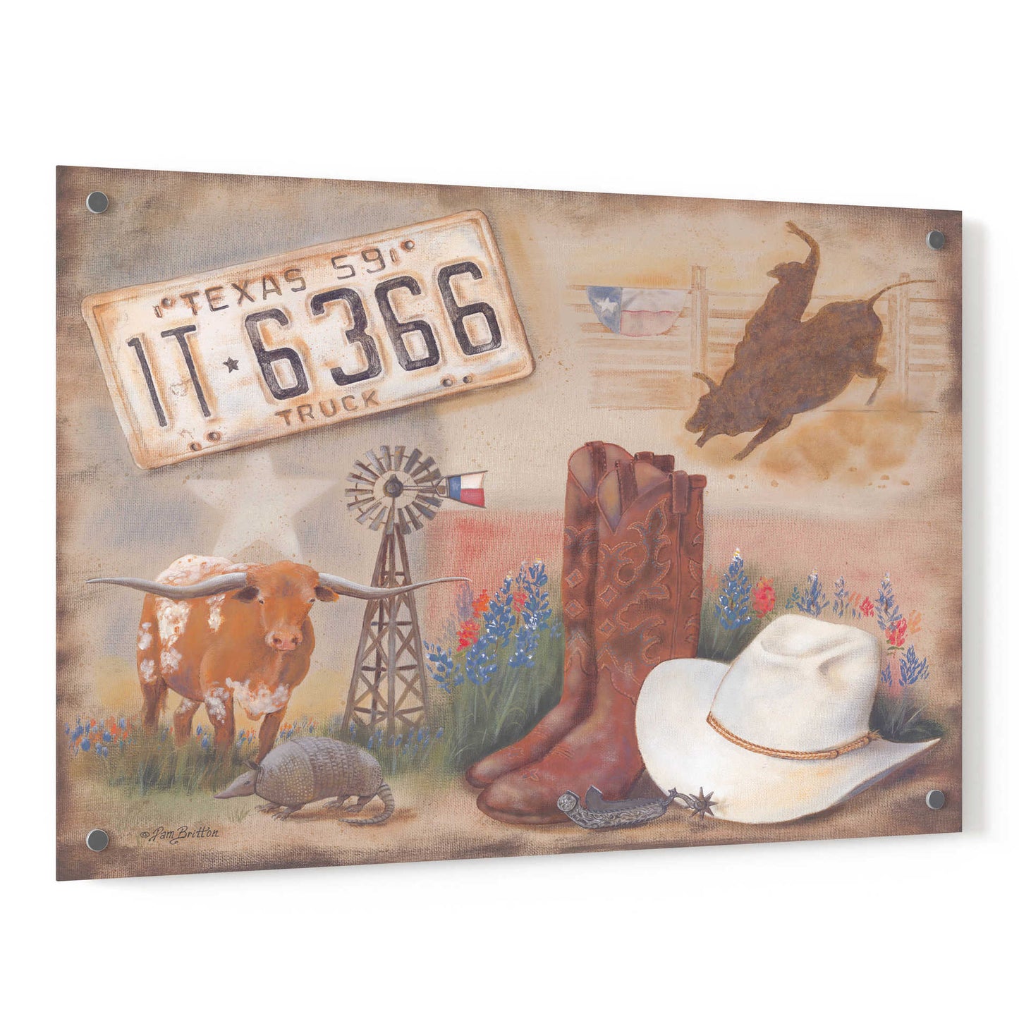 Epic Art 'Texas' by Pam Britton, Acrylic Glass Wall Art,36x24
