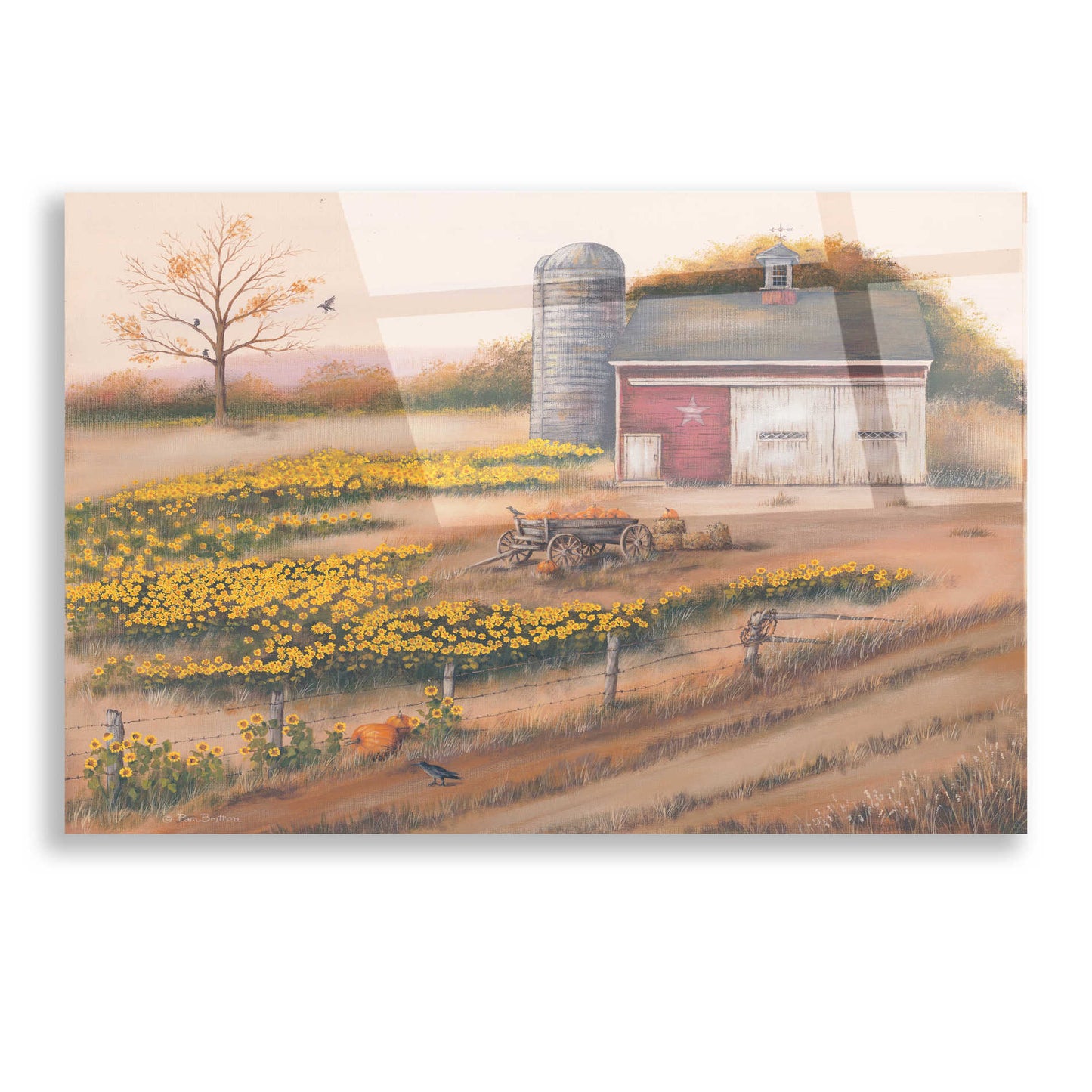 Epic Art 'Barn & Sunflowers I' by Pam Britton, Acrylic Glass Wall Art,16x12