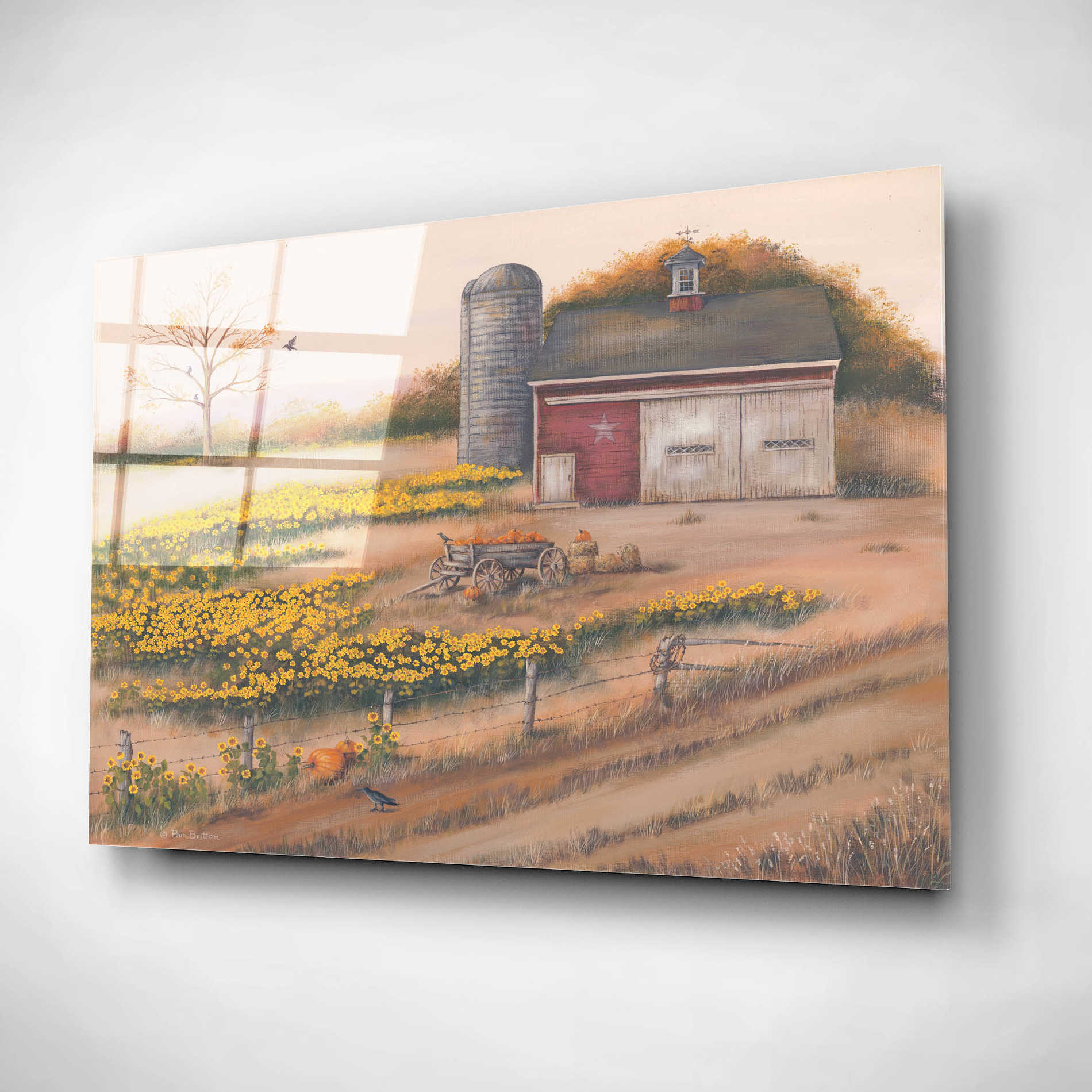 Epic Art 'Barn & Sunflowers I' by Pam Britton, Acrylic Glass Wall Art,24x16