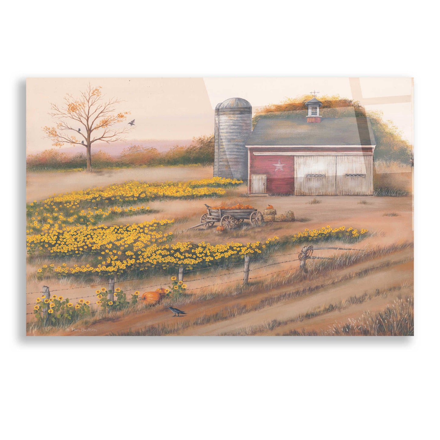 Epic Art 'Barn & Sunflowers I' by Pam Britton, Acrylic Glass Wall Art,24x16