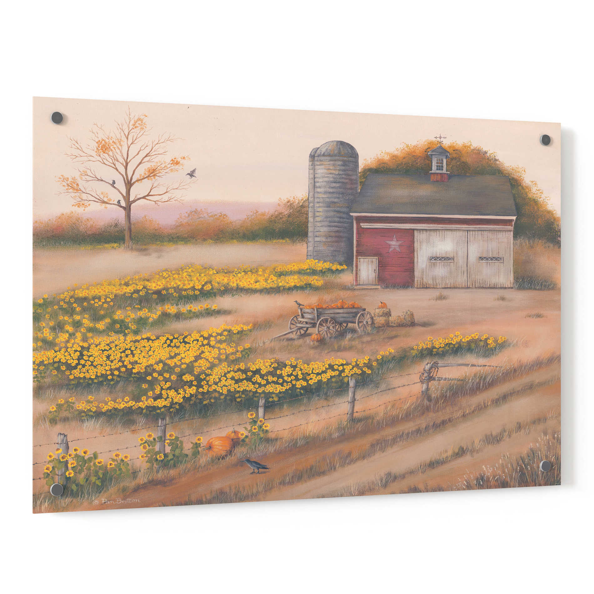 Epic Art 'Barn & Sunflowers I' by Pam Britton, Acrylic Glass Wall Art,36x24
