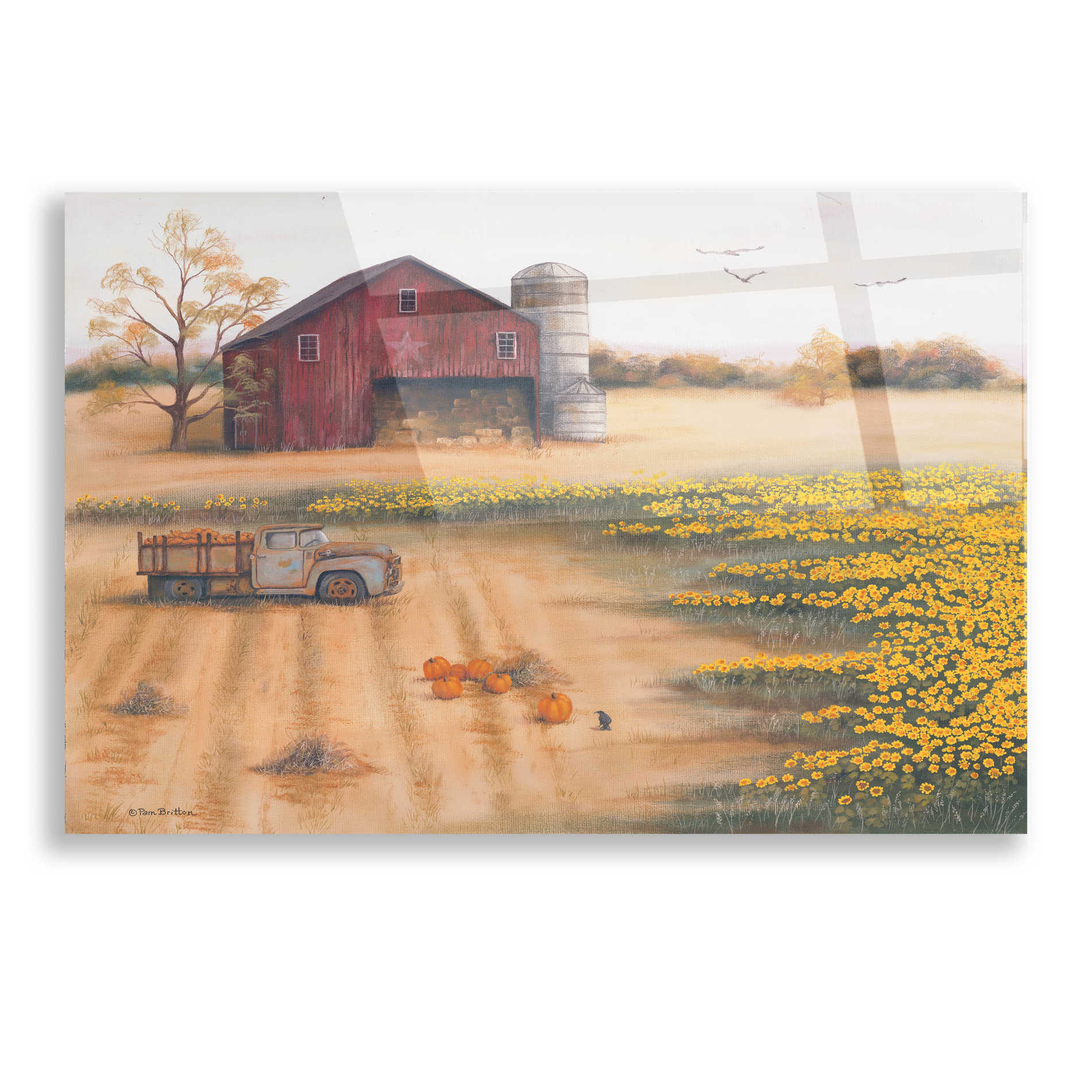 Epic Art 'Barn & Sunflowers II' by Pam Britton, Acrylic Glass Wall Art,16x12