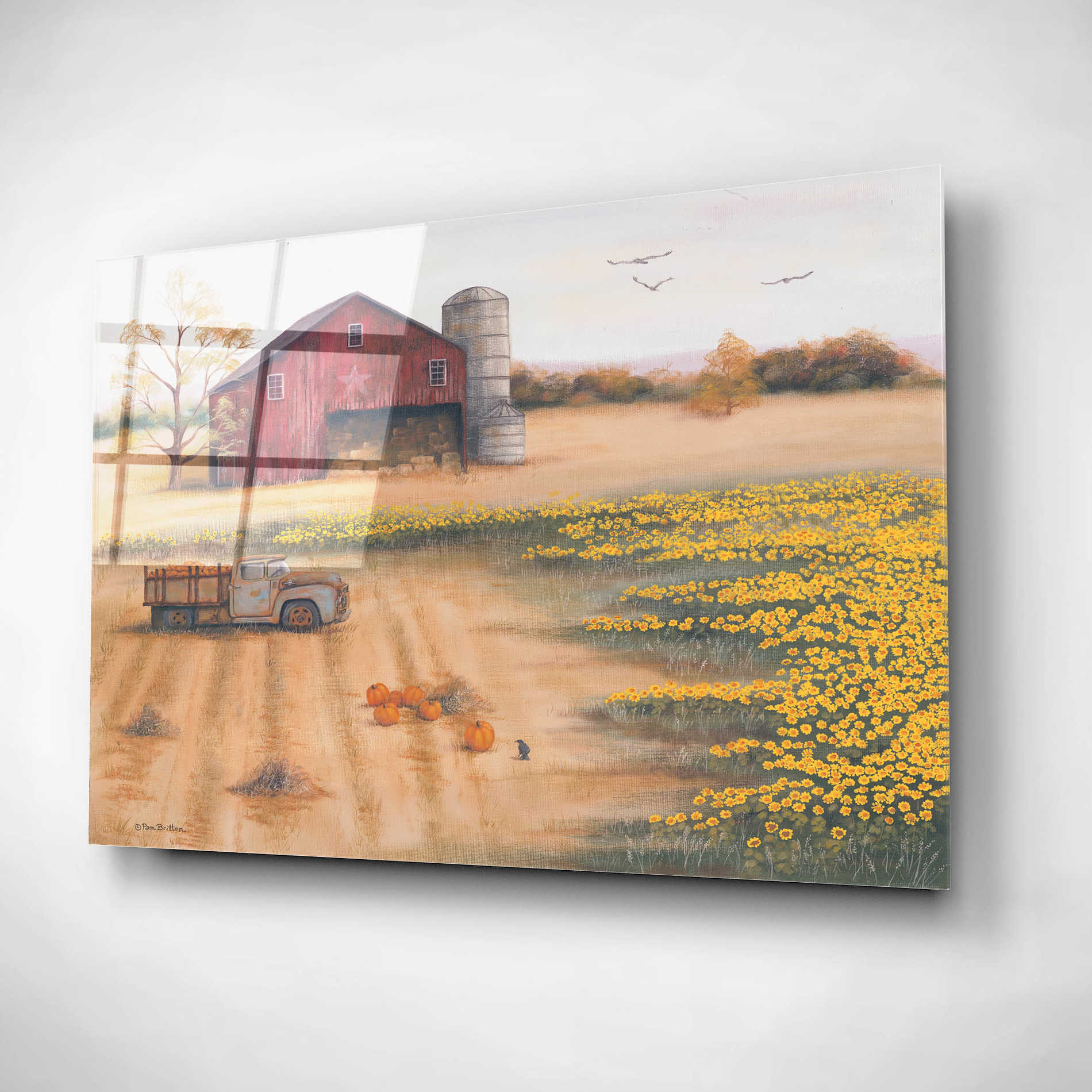 Epic Art 'Barn & Sunflowers II' by Pam Britton, Acrylic Glass Wall Art,24x16
