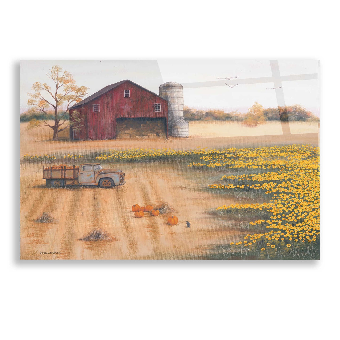 Epic Art 'Barn & Sunflowers II' by Pam Britton, Acrylic Glass Wall Art,24x16