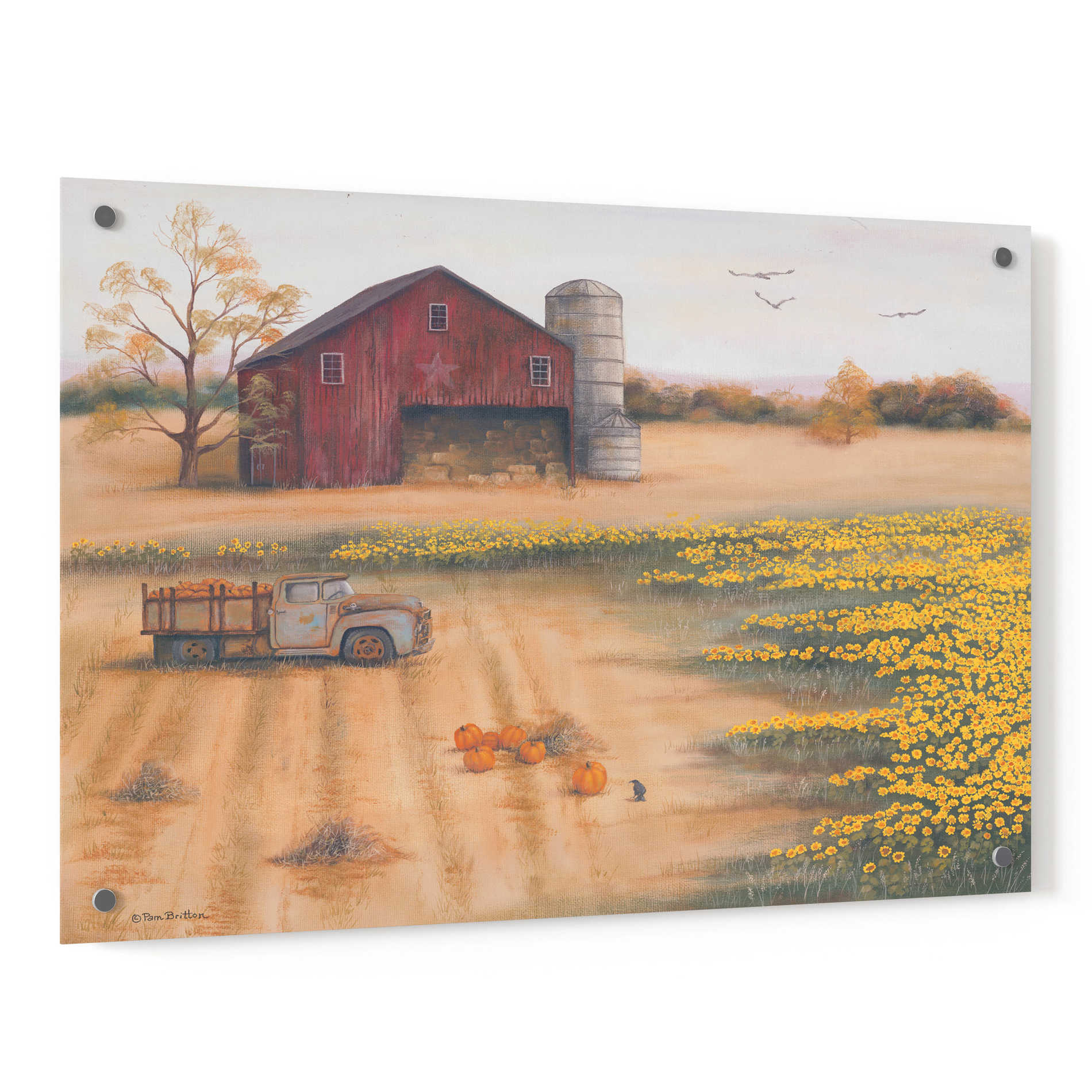 Epic Art 'Barn & Sunflowers II' by Pam Britton, Acrylic Glass Wall Art,36x24