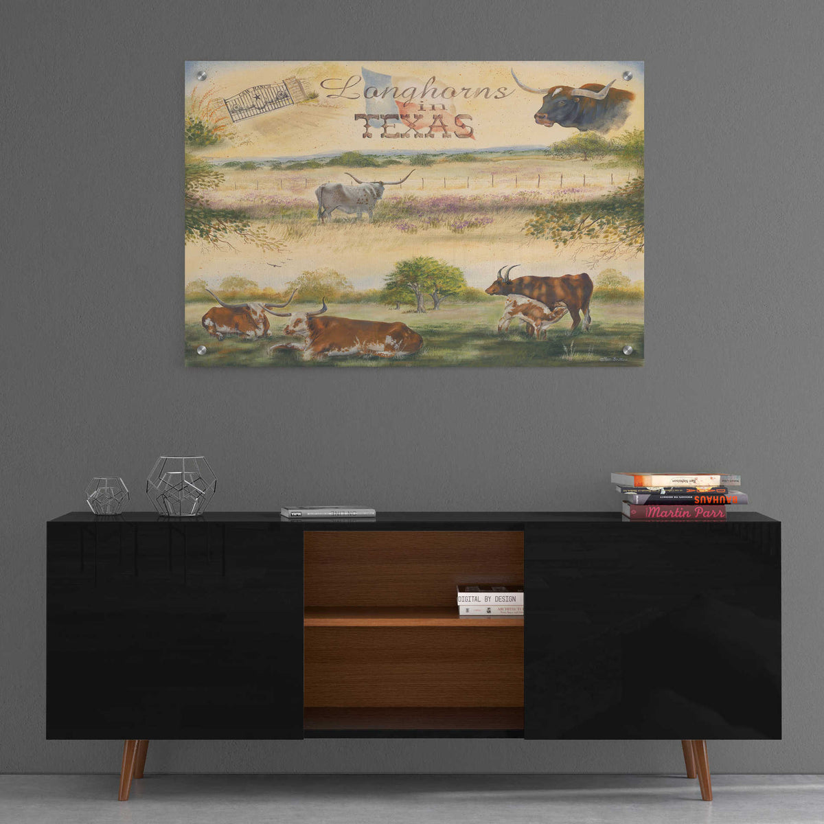 Epic Art 'Texas Collision V' by Pam Britton, Acrylic Glass Wall Art,36x24