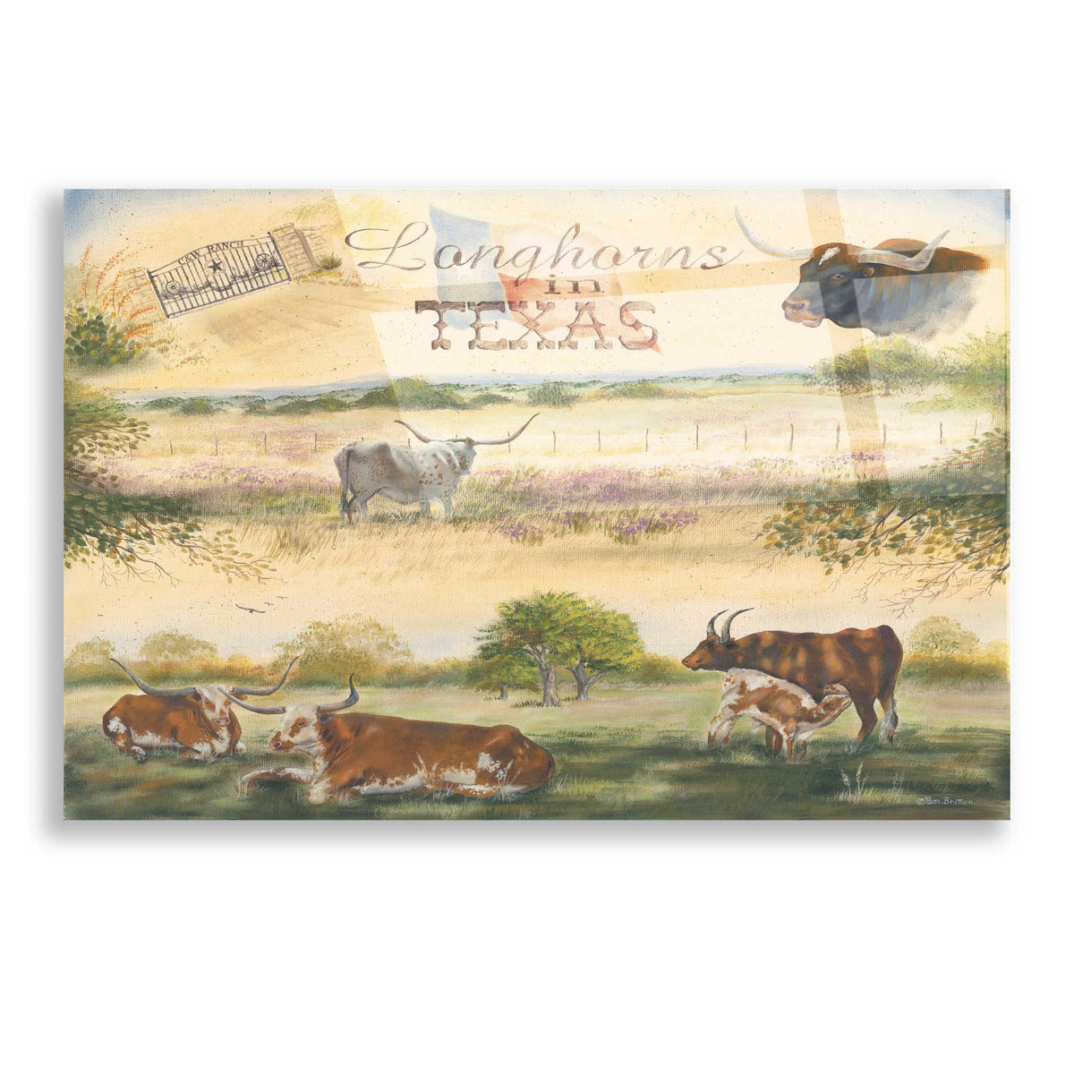 Epic Art 'Texas Collision V' by Pam Britton, Acrylic Glass Wall Art