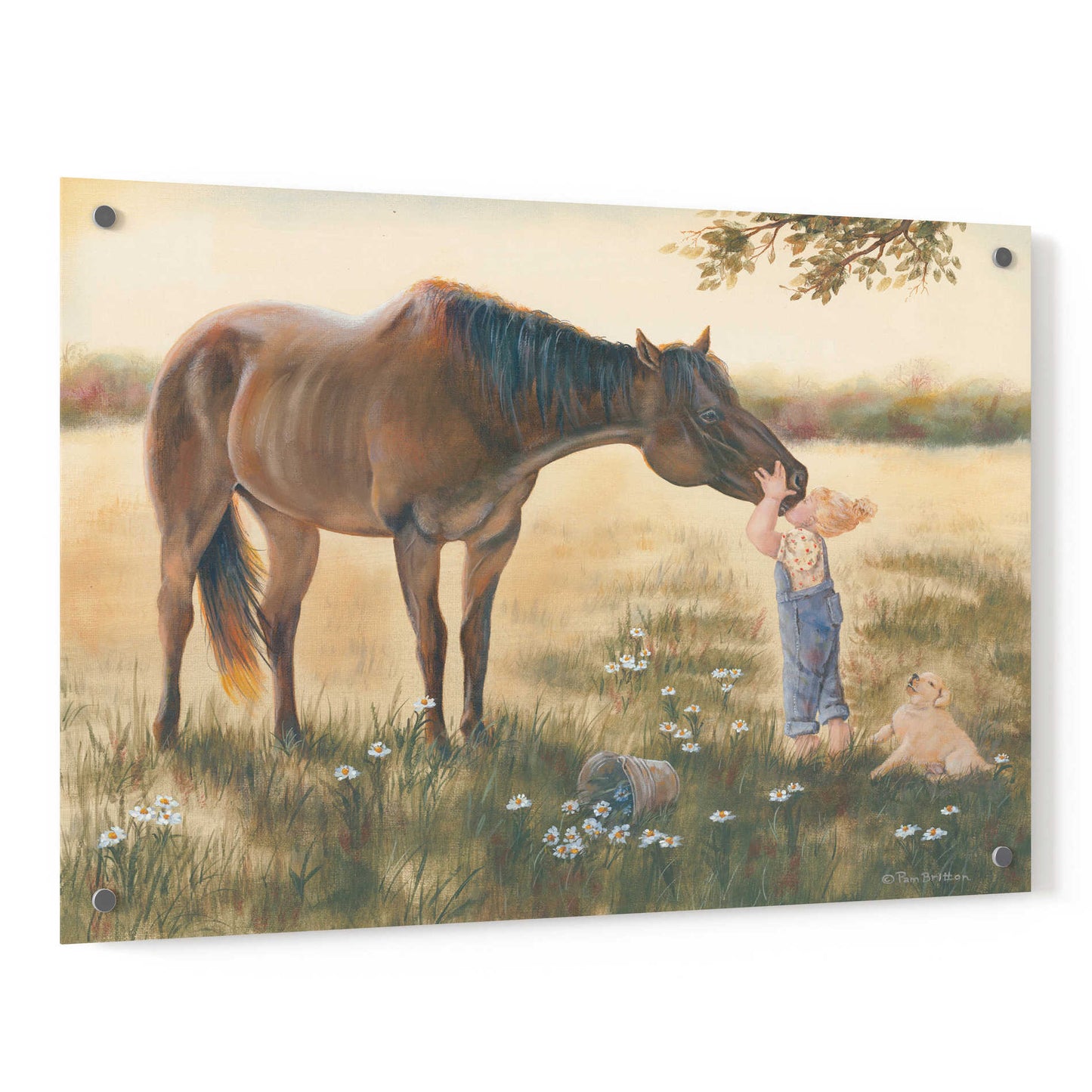 Epic Art 'Good Friends II' by Pam Britton, Acrylic Glass Wall Art,36x24