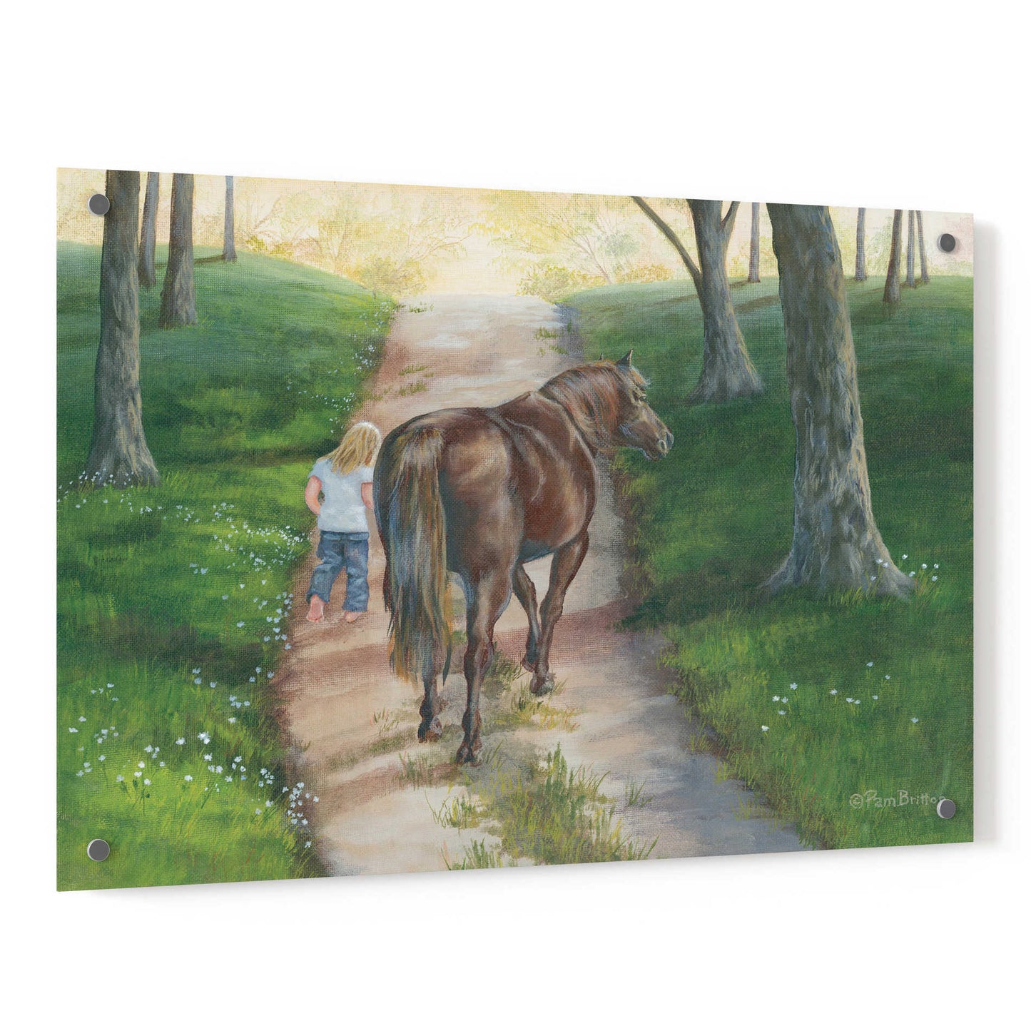 Epic Art 'Early Morning Stroll' by Pam Britton, Acrylic Glass Wall Art,36x24