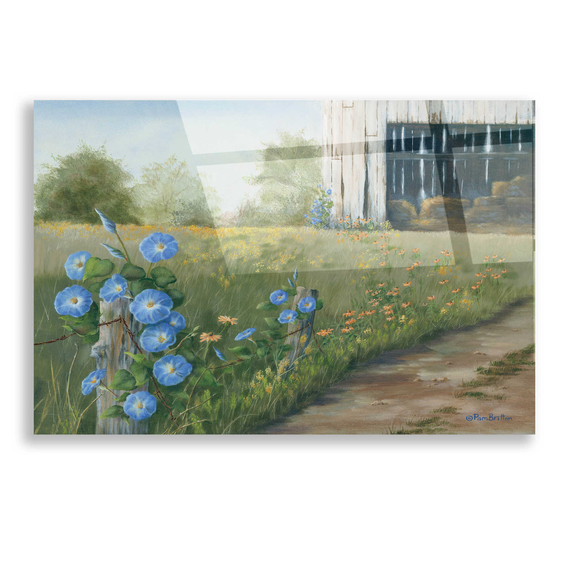 Epic Art 'Morning Glories & Hay Barn' by Pam Britton, Acrylic Glass Wall Art,16x12
