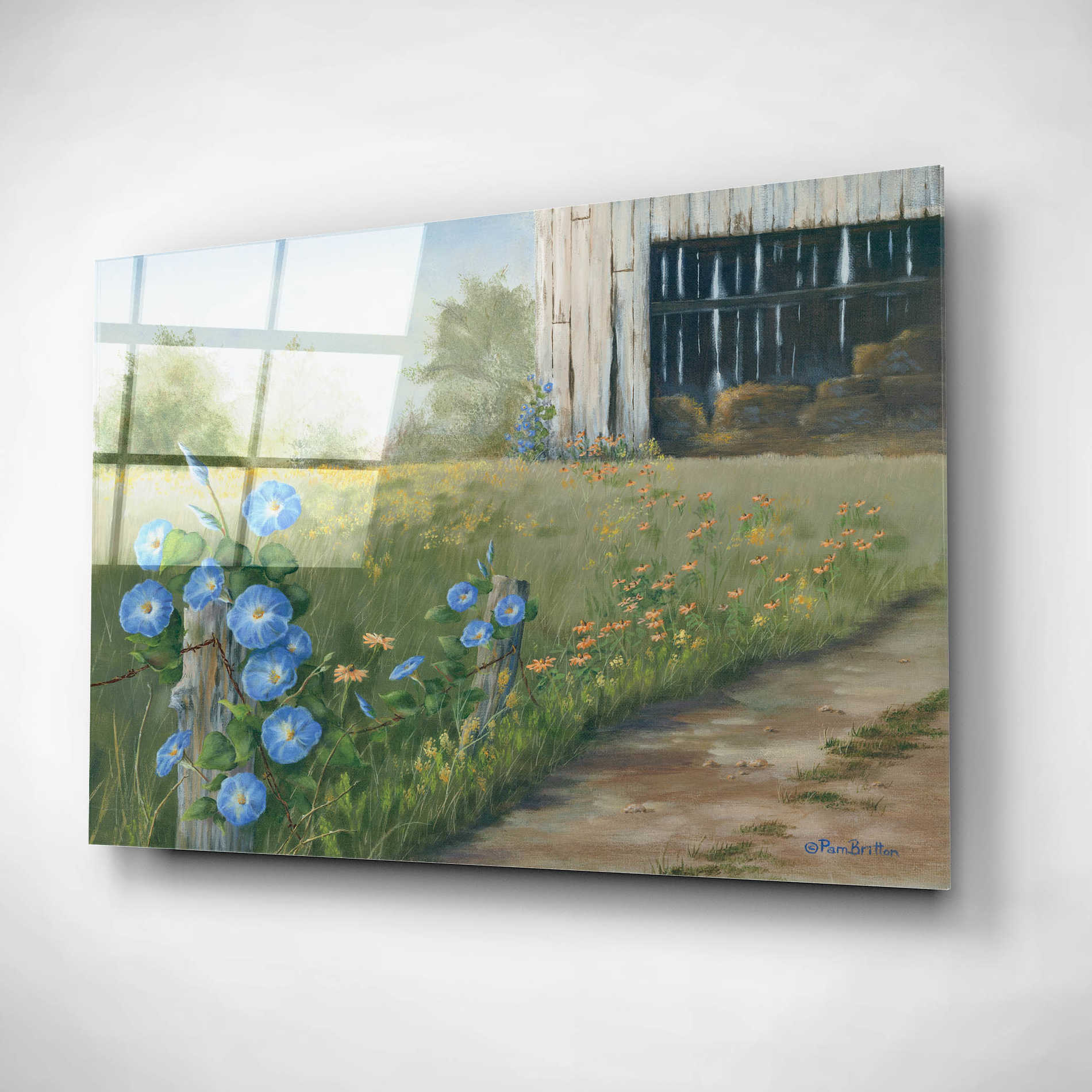 Epic Art 'Morning Glories & Hay Barn' by Pam Britton, Acrylic Glass Wall Art,24x16