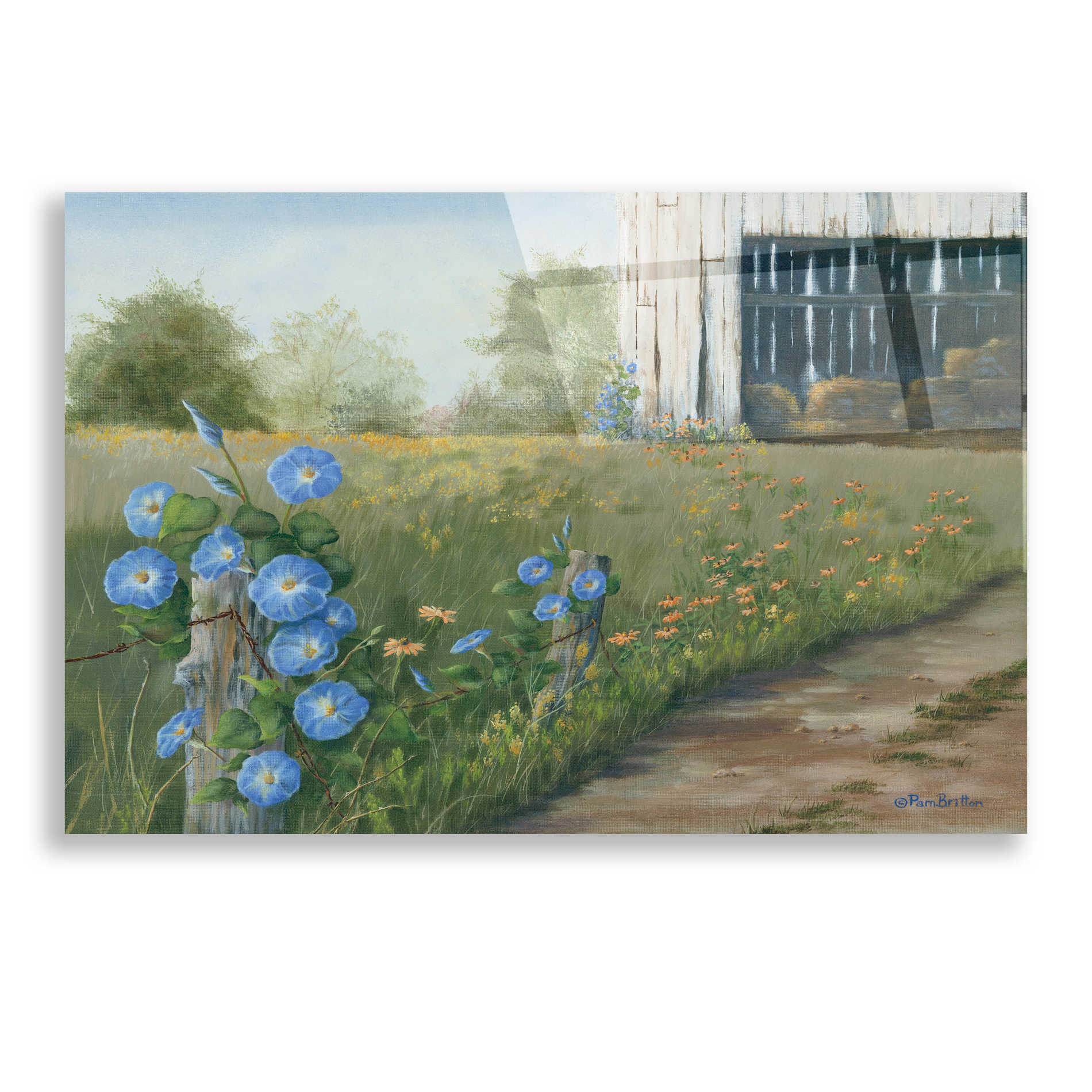 Epic Art 'Morning Glories & Hay Barn' by Pam Britton, Acrylic Glass Wall Art,24x16