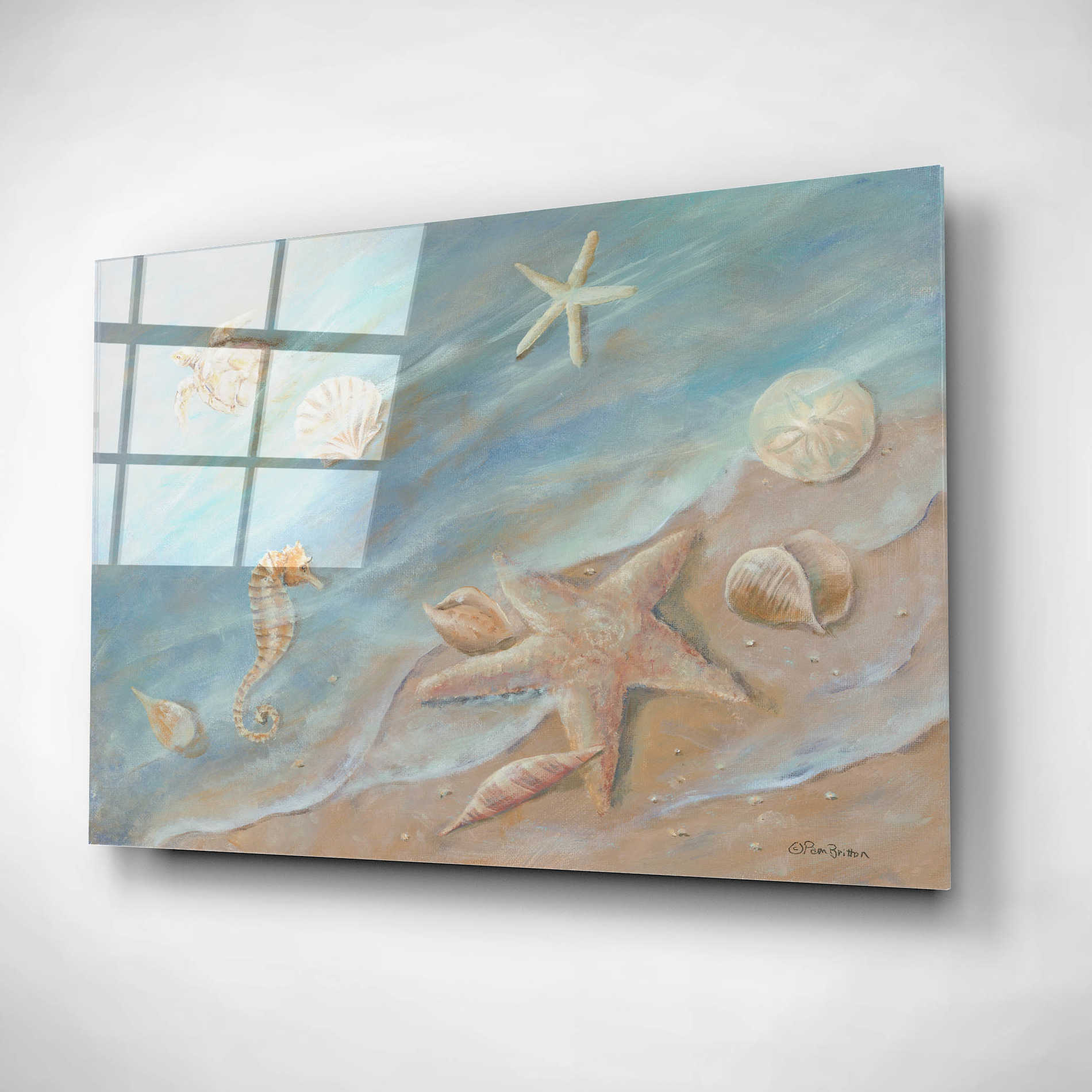 Epic Art 'Seashore Star I' by Pam Britton, Acrylic Glass Wall Art,16x12