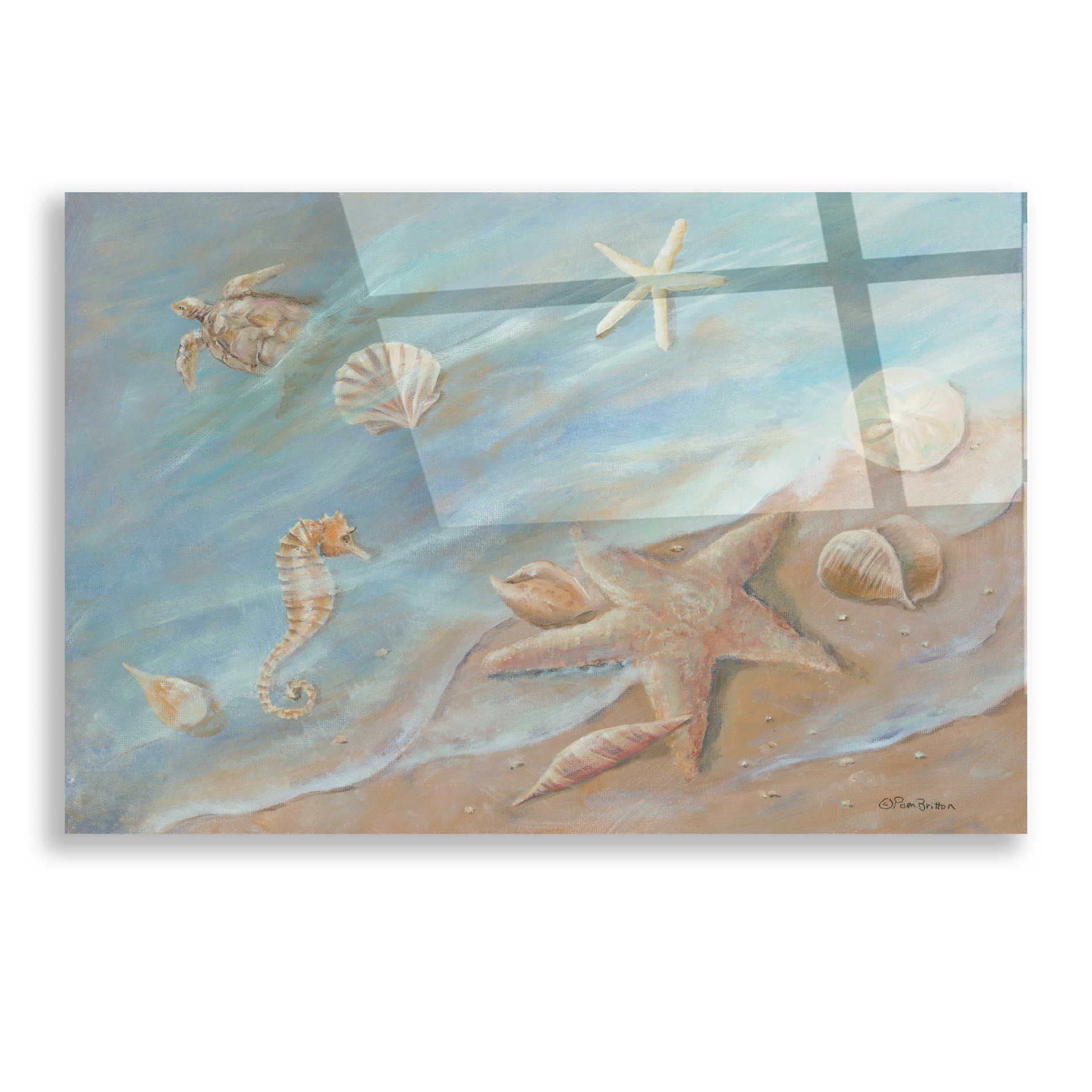 Epic Art 'Seashore Star I' by Pam Britton, Acrylic Glass Wall Art,16x12