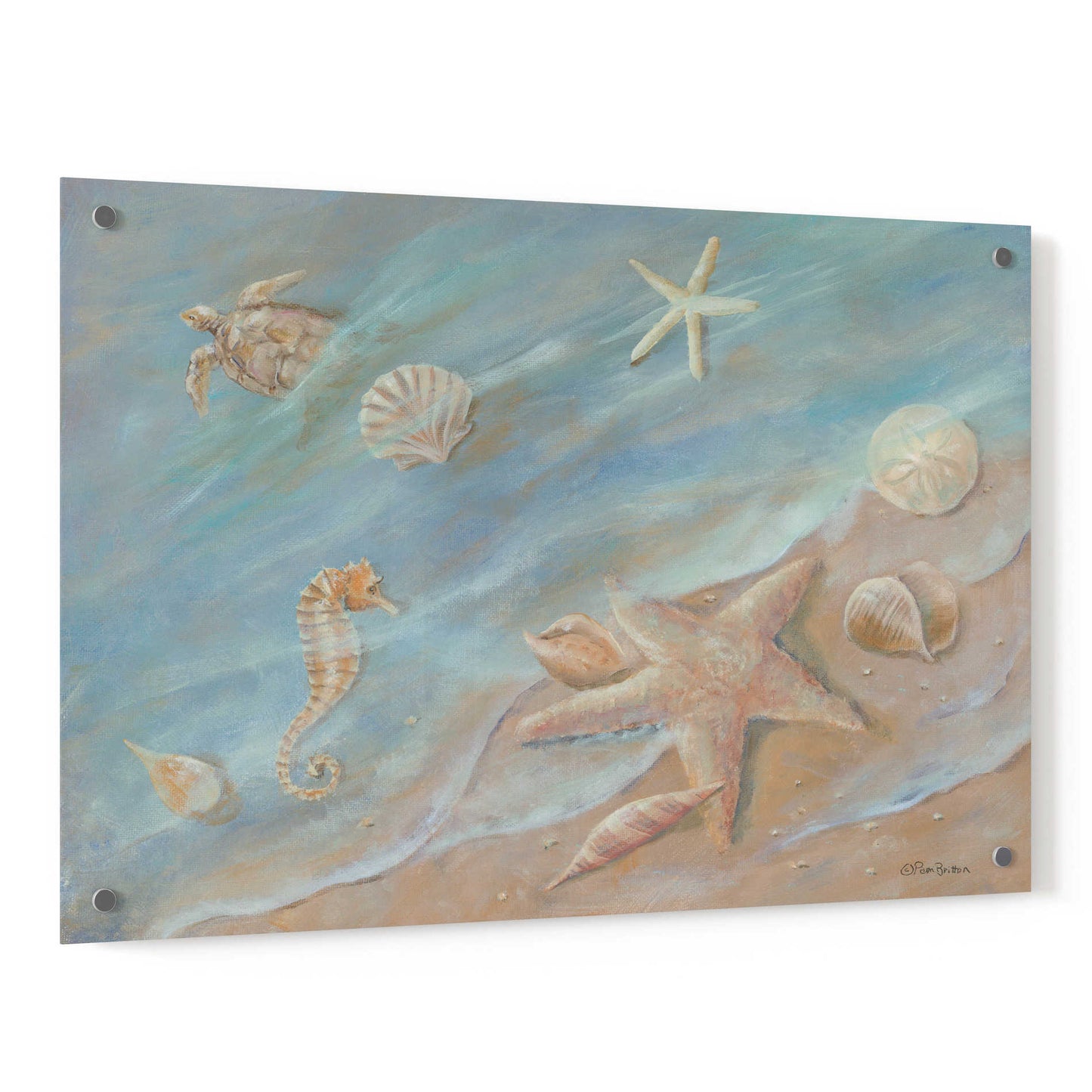 Epic Art 'Seashore Star I' by Pam Britton, Acrylic Glass Wall Art,36x24