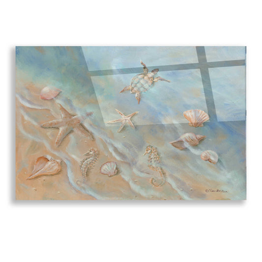 Epic Art 'Seashore Star II' by Pam Britton, Acrylic Glass Wall Art