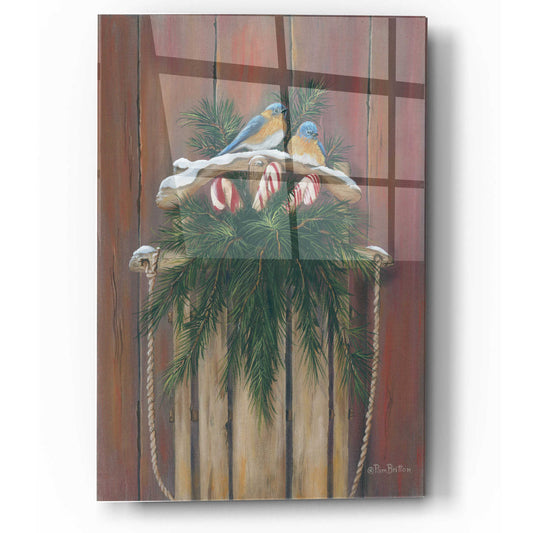 Epic Art 'Bluebirds & Sled' by Pam Britton, Acrylic Glass Wall Art