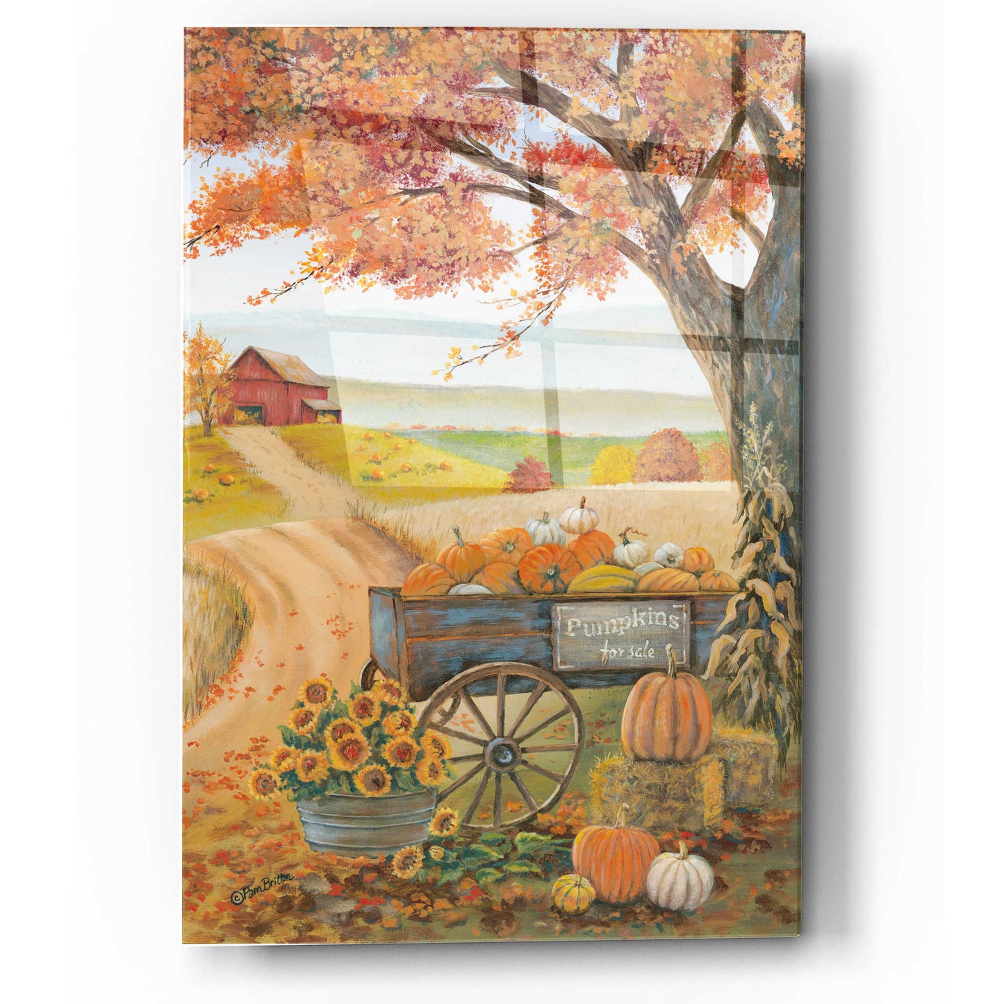 Epic Art 'Harvest Pumpkins' by Pam Britton, Acrylic Glass Wall Art,12x16
