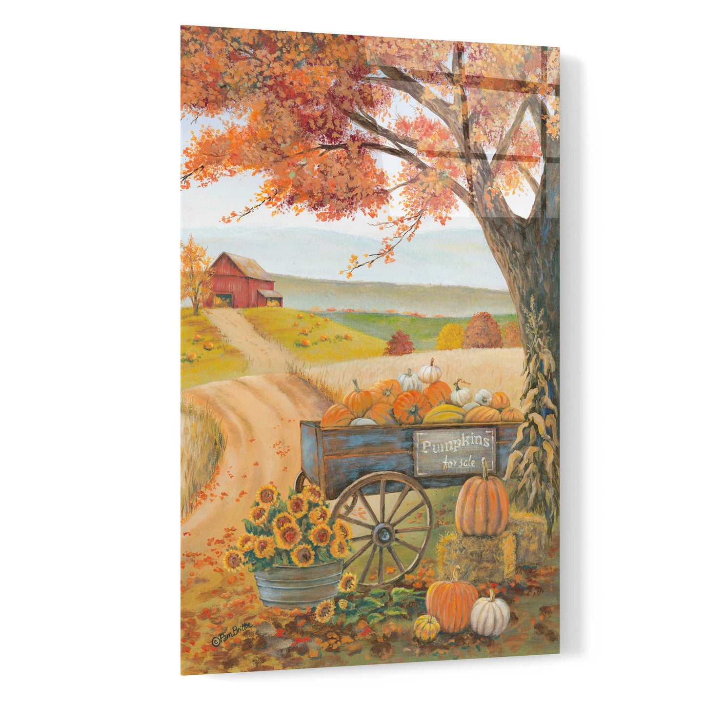 Epic Art 'Harvest Pumpkins' by Pam Britton, Acrylic Glass Wall Art,16x24