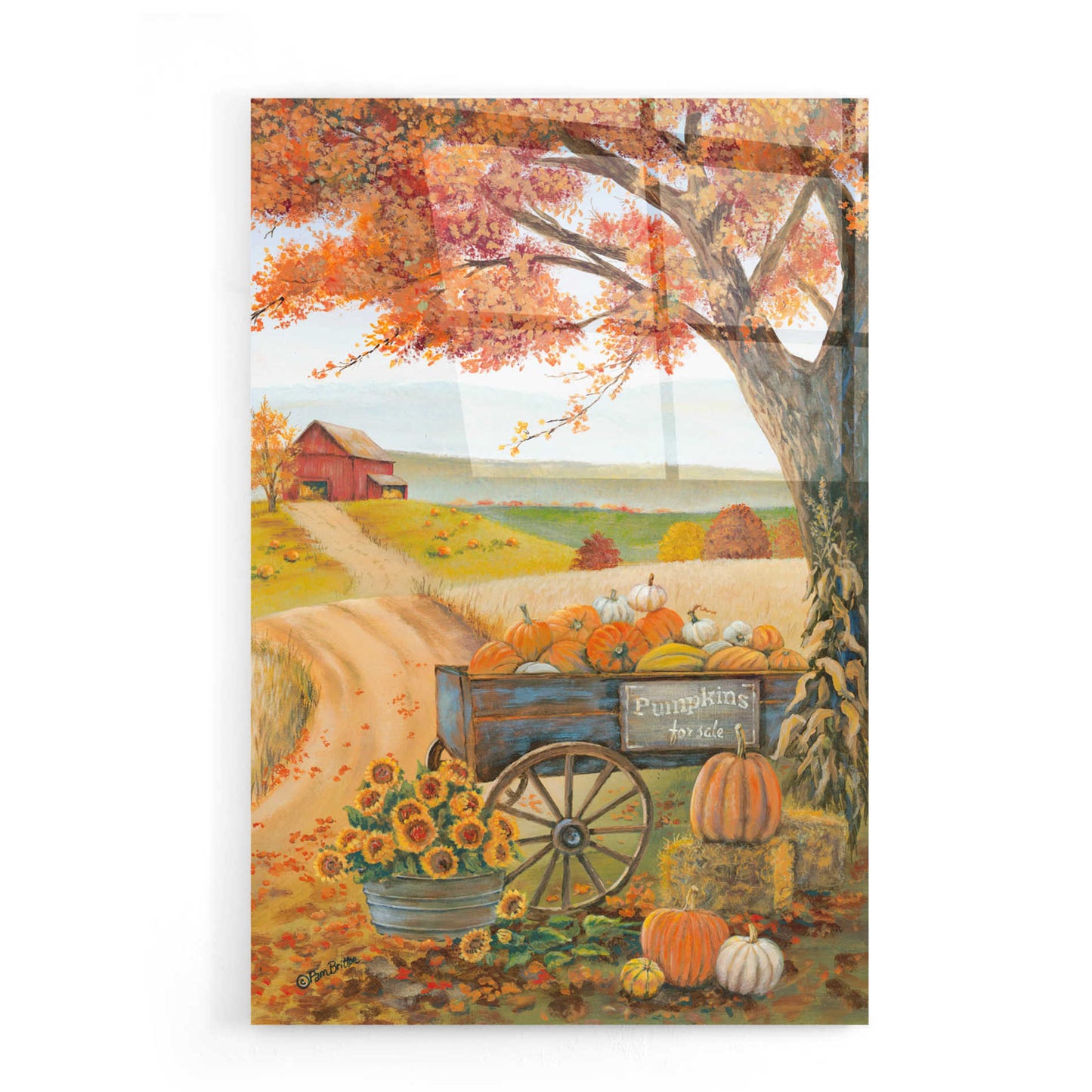 Epic Art 'Harvest Pumpkins' by Pam Britton, Acrylic Glass Wall Art,16x24