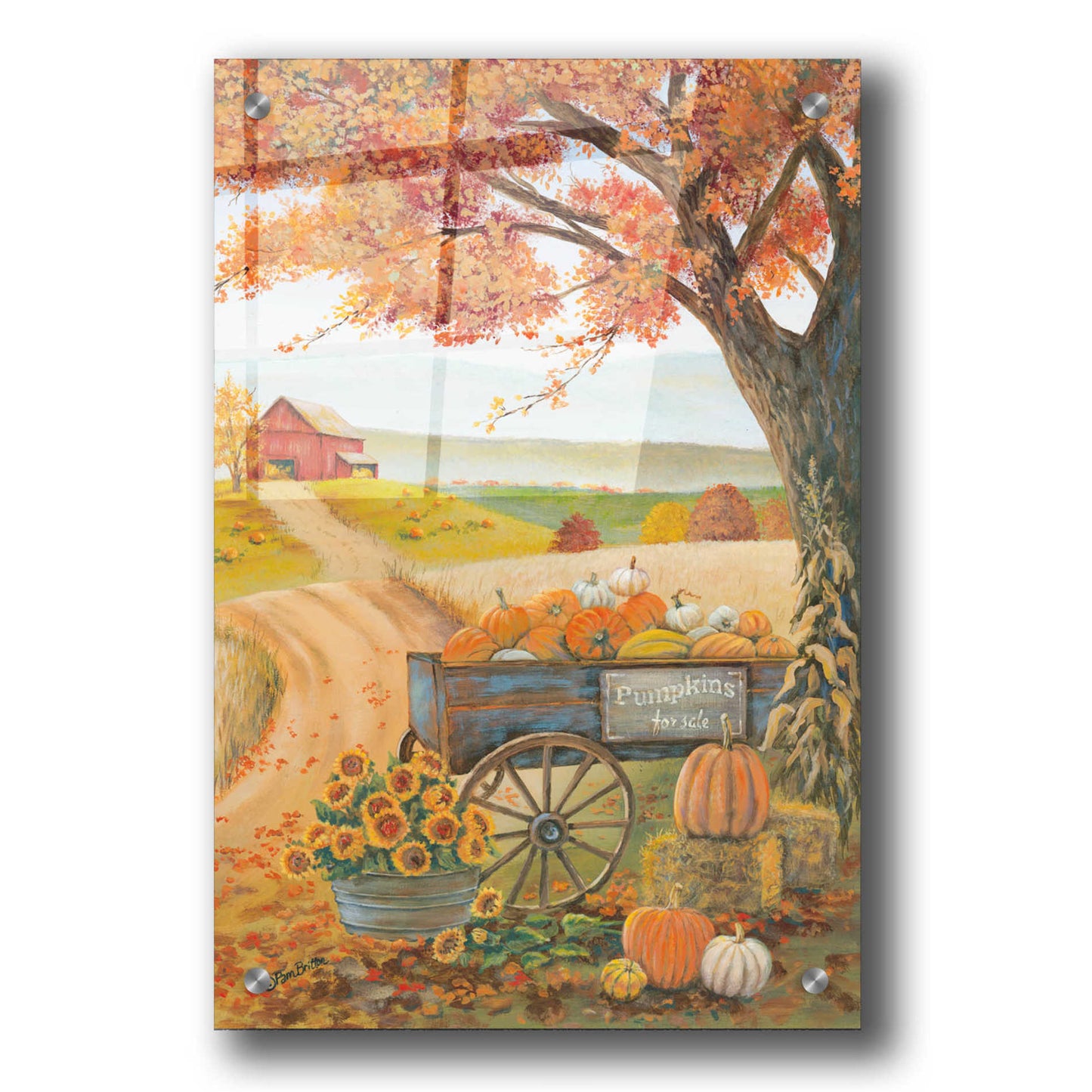 Epic Art 'Harvest Pumpkins' by Pam Britton, Acrylic Glass Wall Art,24x36