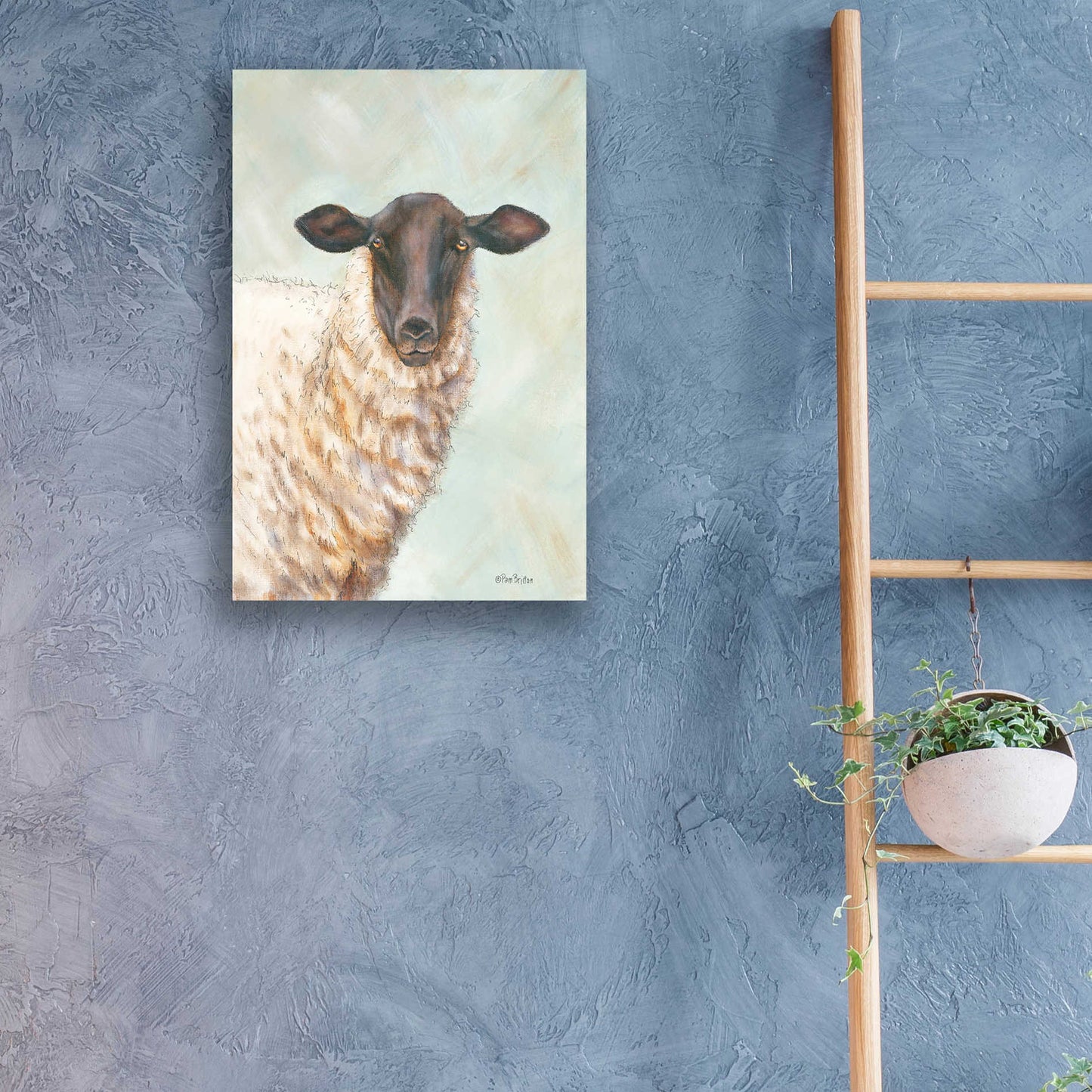 Epic Art 'Farm Sheep' by Pam Britton, Acrylic Glass Wall Art,16x24