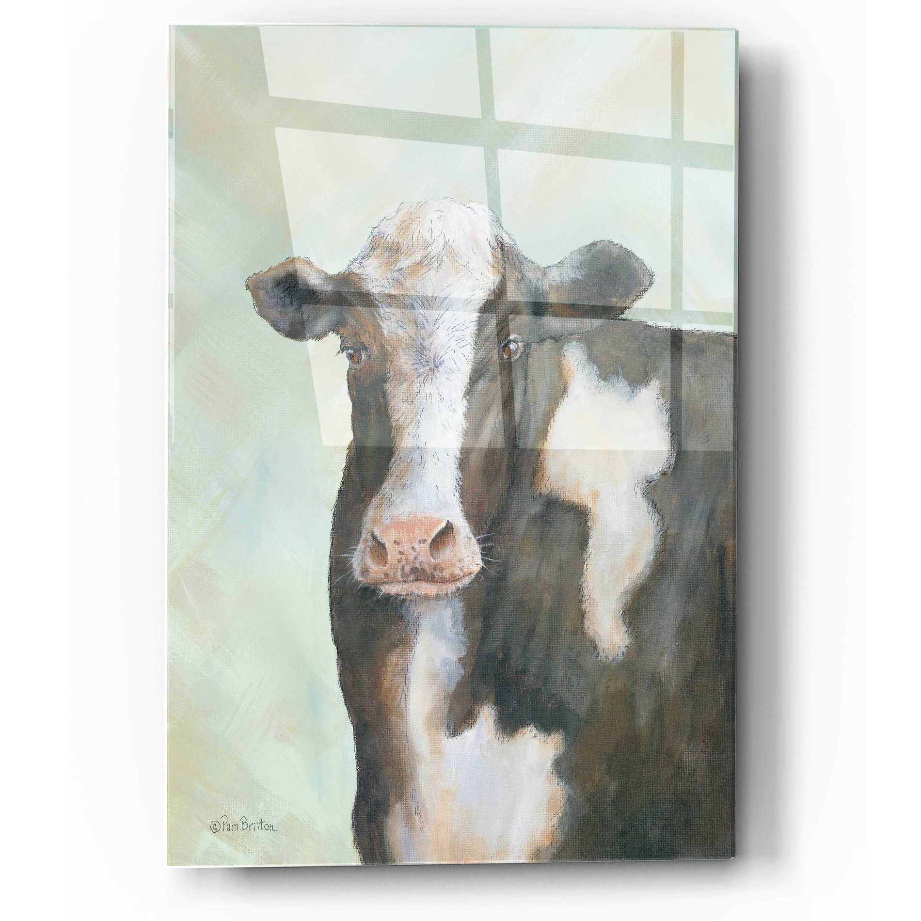 Epic Art 'Farm Cow' by Pam Britton, Acrylic Glass Wall Art,12x16