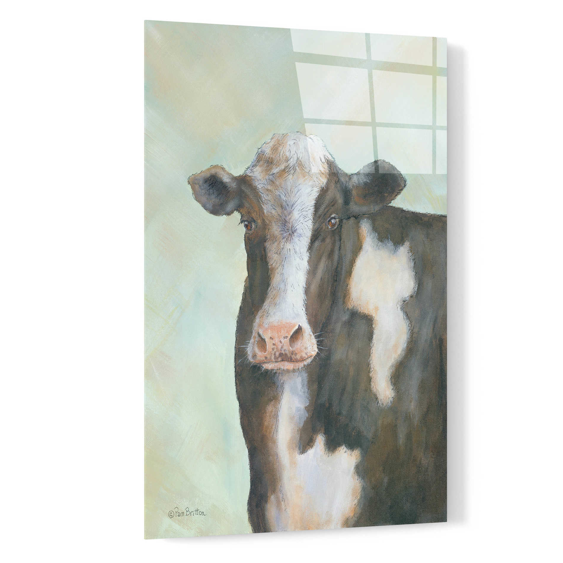 Epic Art 'Farm Cow' by Pam Britton, Acrylic Glass Wall Art,16x24