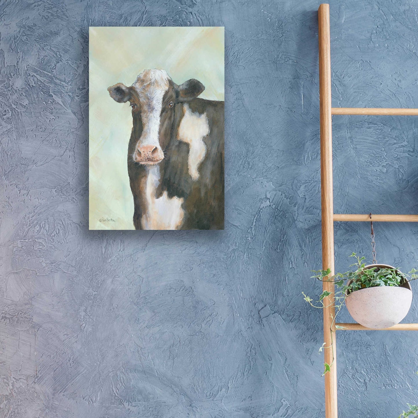 Epic Art 'Farm Cow' by Pam Britton, Acrylic Glass Wall Art,16x24