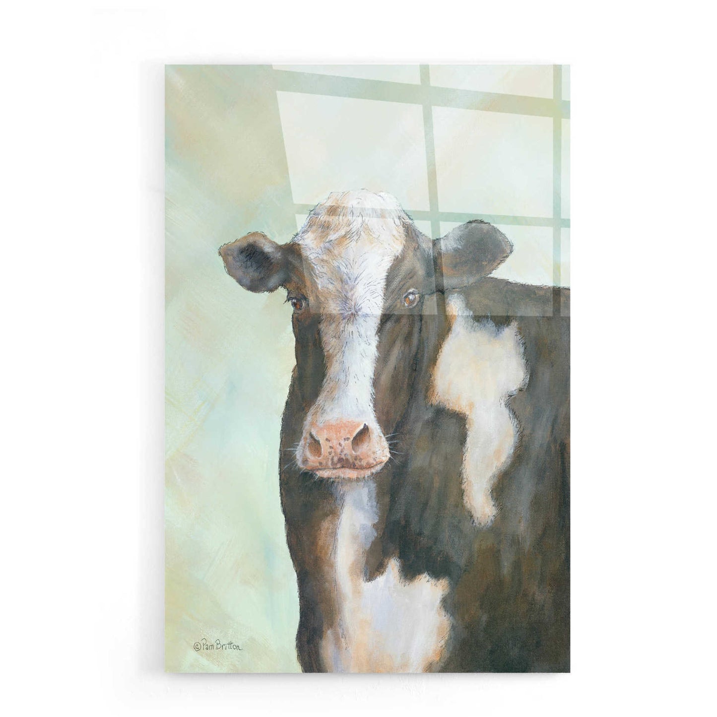 Epic Art 'Farm Cow' by Pam Britton, Acrylic Glass Wall Art,16x24