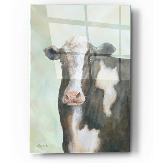 Epic Art 'Farm Cow' by Pam Britton, Acrylic Glass Wall Art