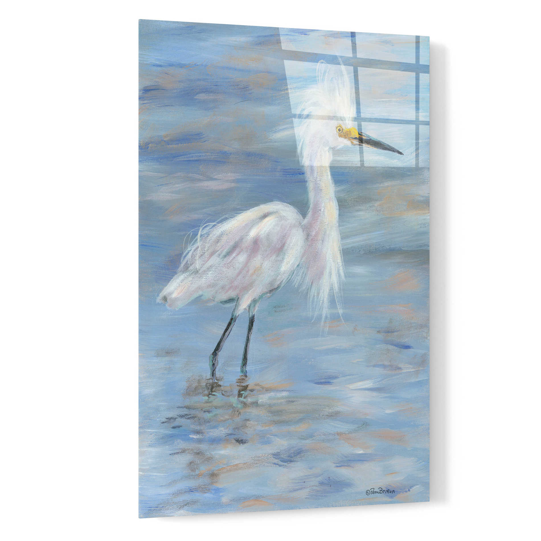 Epic Art 'Egret' by Pam Britton, Acrylic Glass Wall Art,16x24