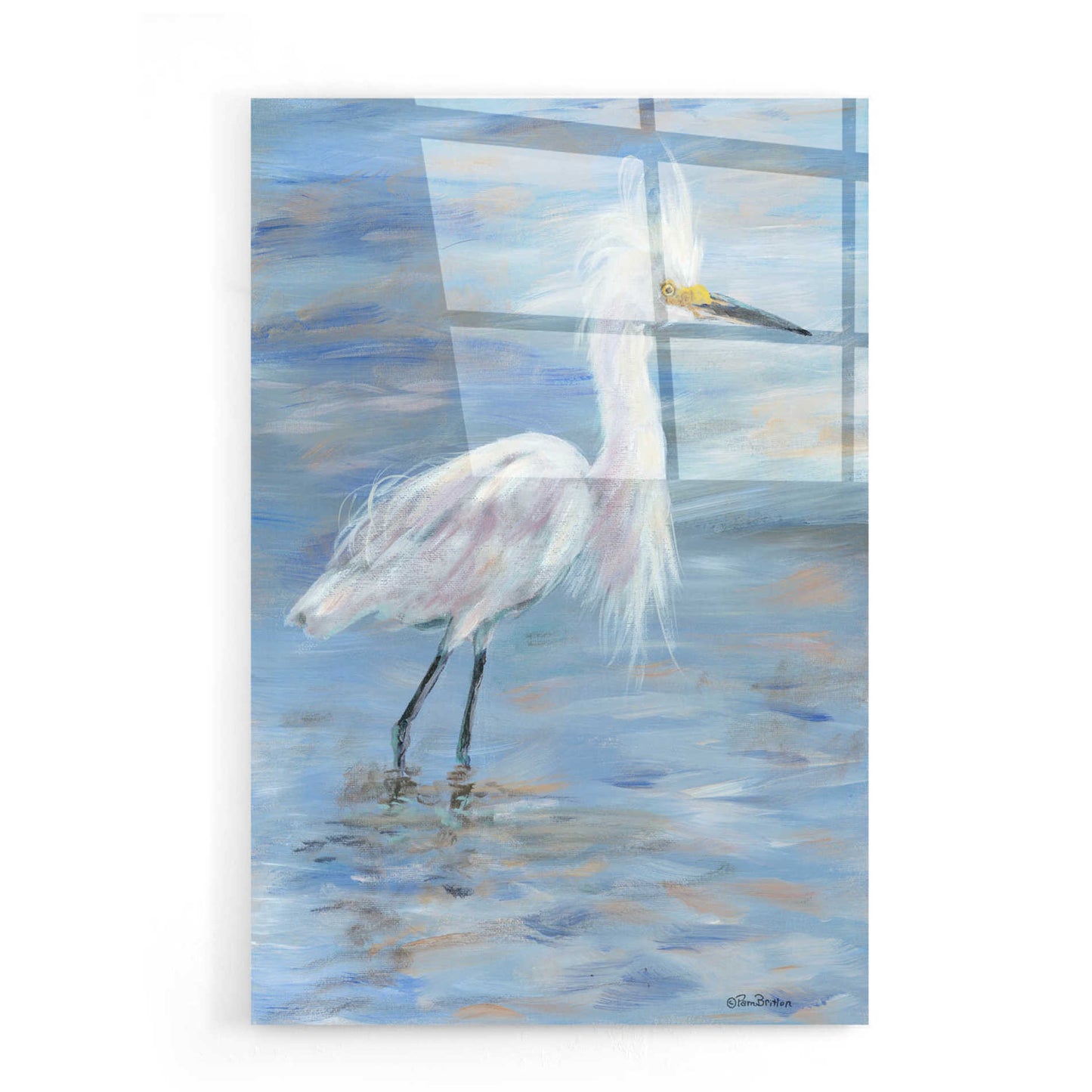 Epic Art 'Egret' by Pam Britton, Acrylic Glass Wall Art,16x24