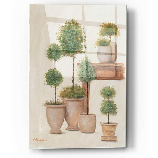 Epic Art 'Potting Bench & Topiaries I' by Pam Britton, Acrylic Glass Wall Art