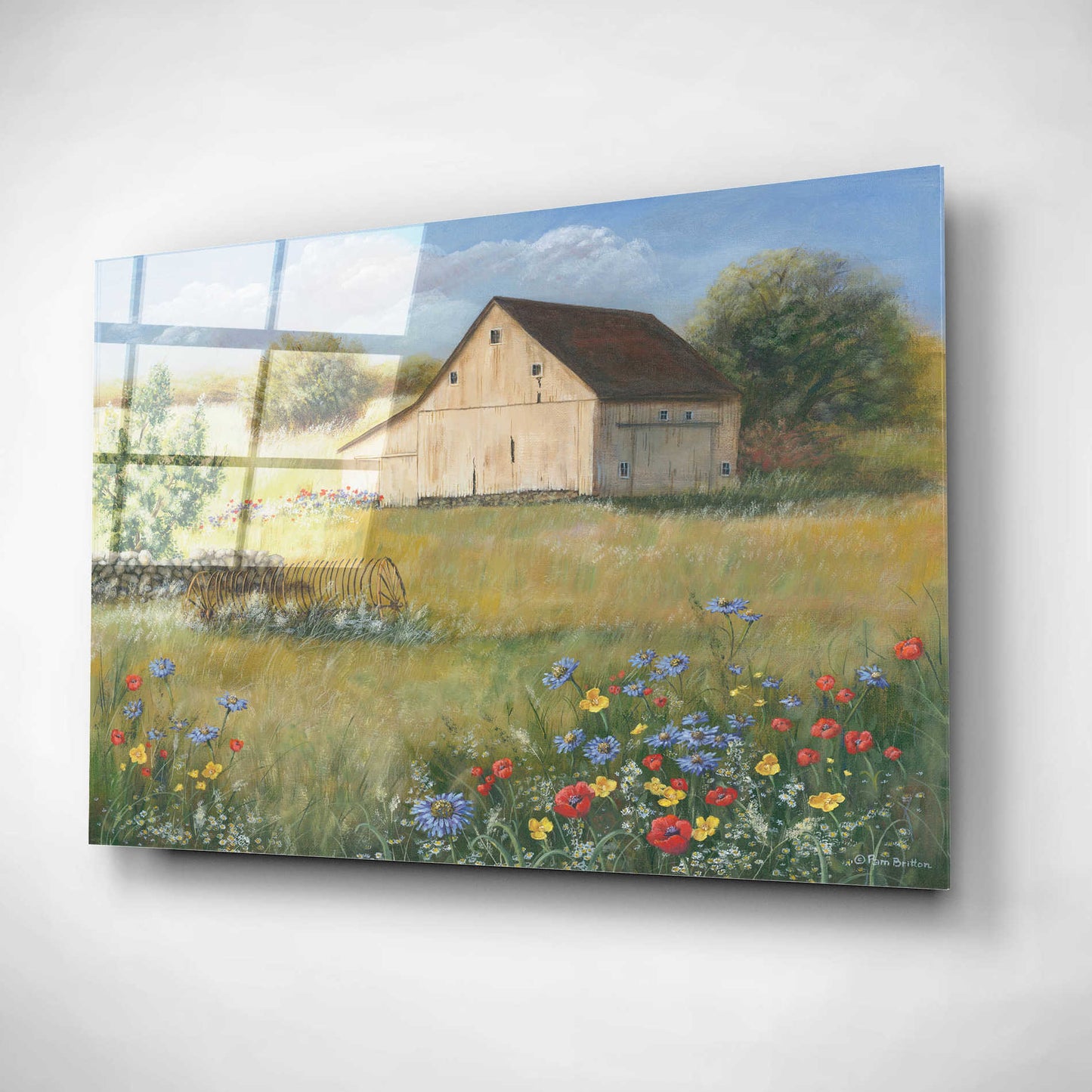 Epic Art 'Country Wildflowers I' by Pam Britton, Acrylic Glass Wall Art,16x12