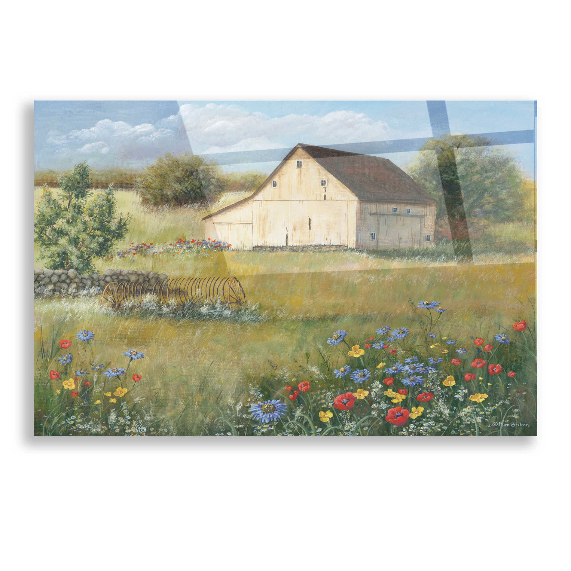 Epic Art 'Country Wildflowers I' by Pam Britton, Acrylic Glass Wall Art,16x12