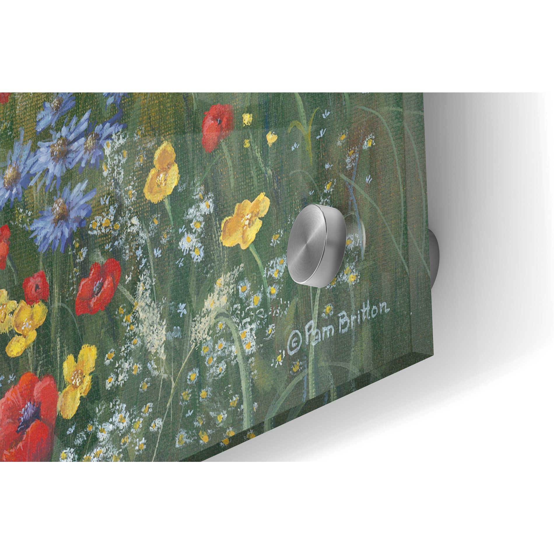 Epic Art 'Country Wildflowers I' by Pam Britton, Acrylic Glass Wall Art,36x24