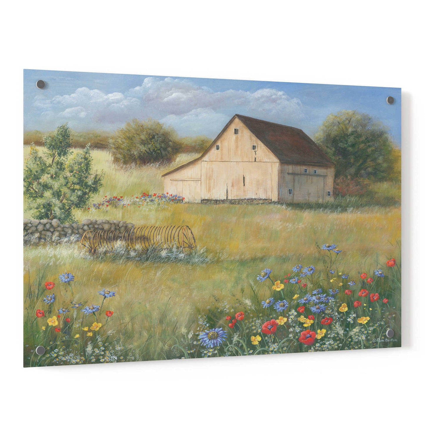 Epic Art 'Country Wildflowers I' by Pam Britton, Acrylic Glass Wall Art,36x24
