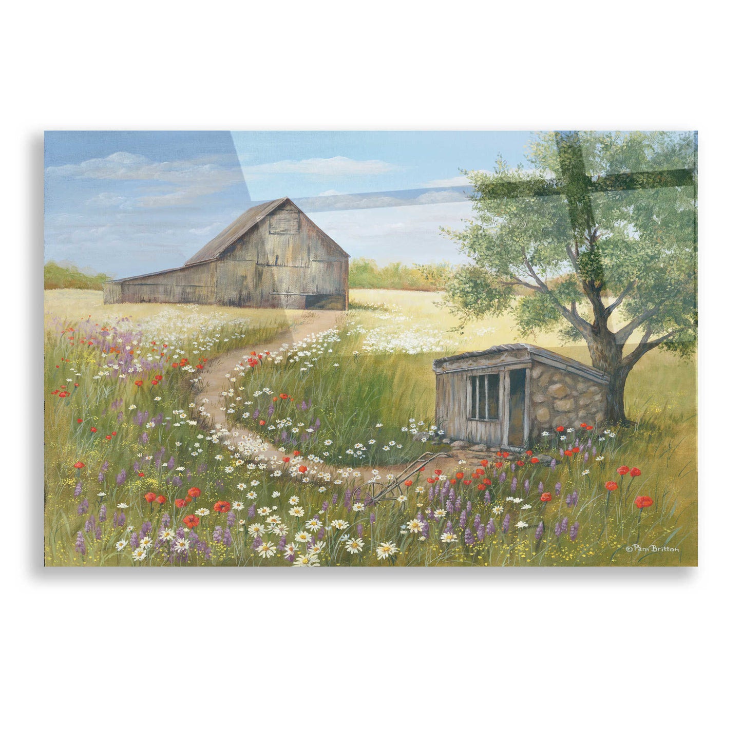Epic Art 'Country Wildflowers II' by Pam Britton, Acrylic Glass Wall Art,16x12