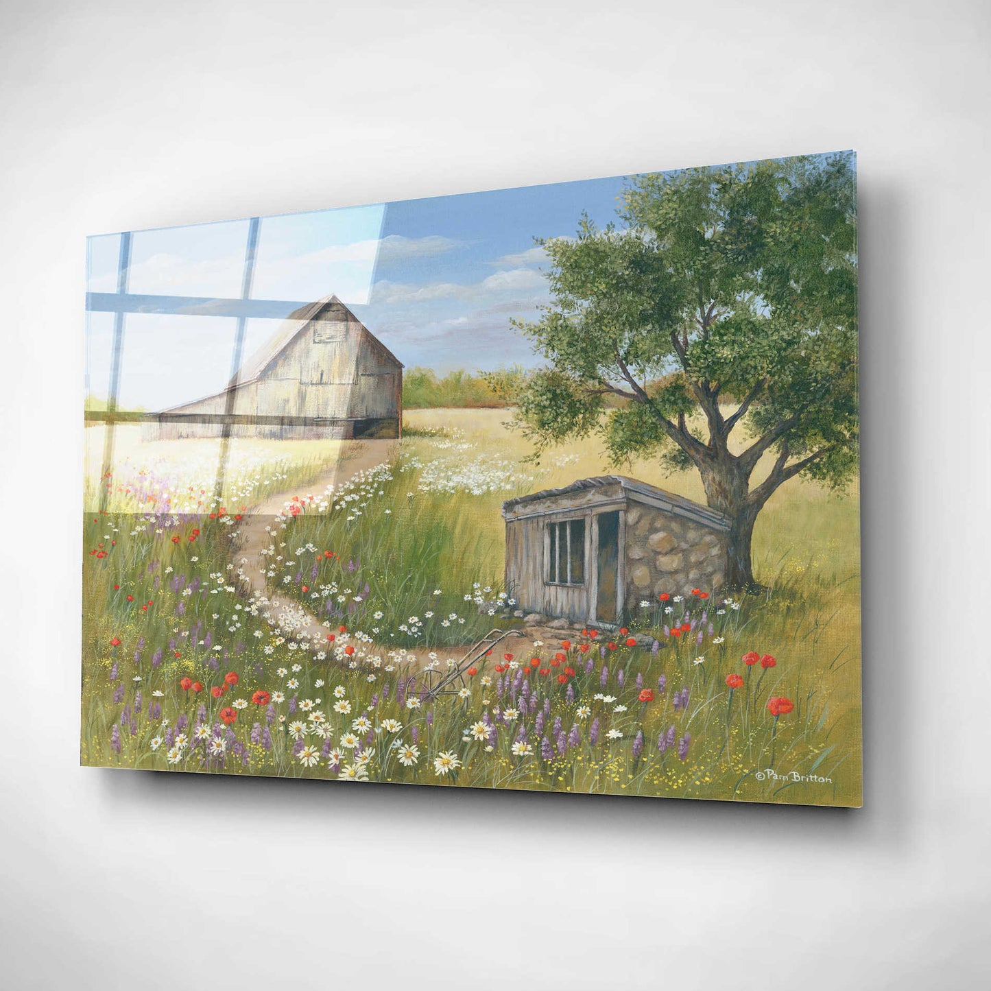 Epic Art 'Country Wildflowers II' by Pam Britton, Acrylic Glass Wall Art,24x16
