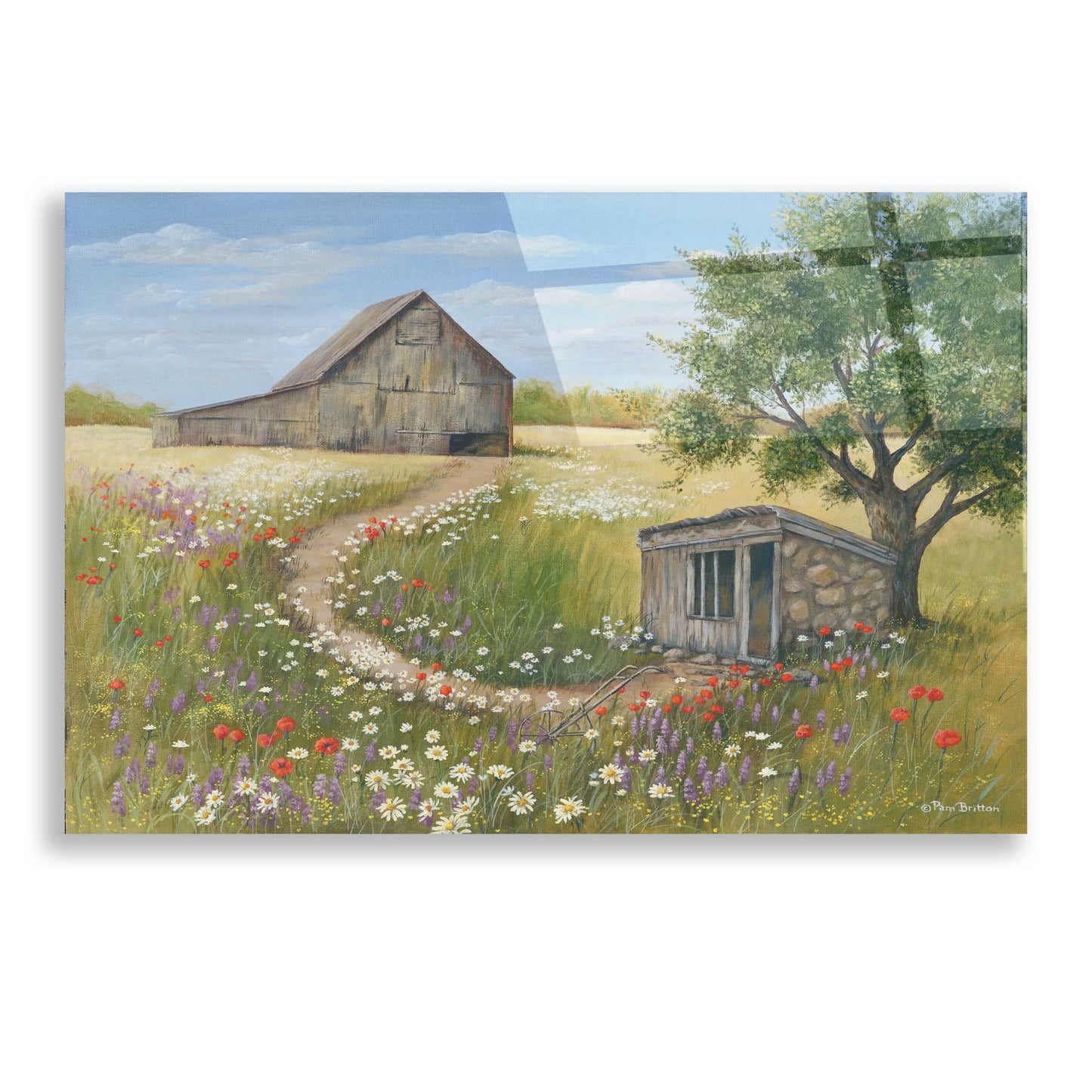 Epic Art 'Country Wildflowers II' by Pam Britton, Acrylic Glass Wall Art,24x16