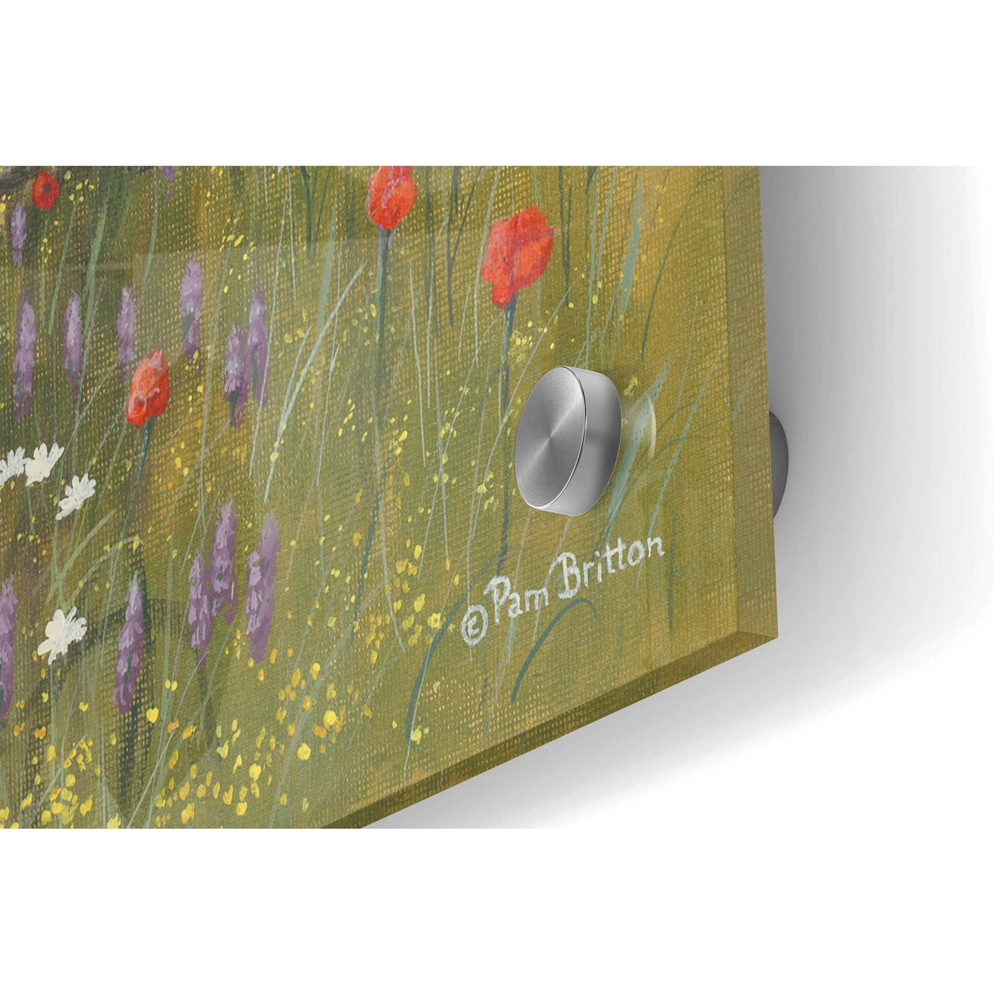 Epic Art 'Country Wildflowers II' by Pam Britton, Acrylic Glass Wall Art,36x24
