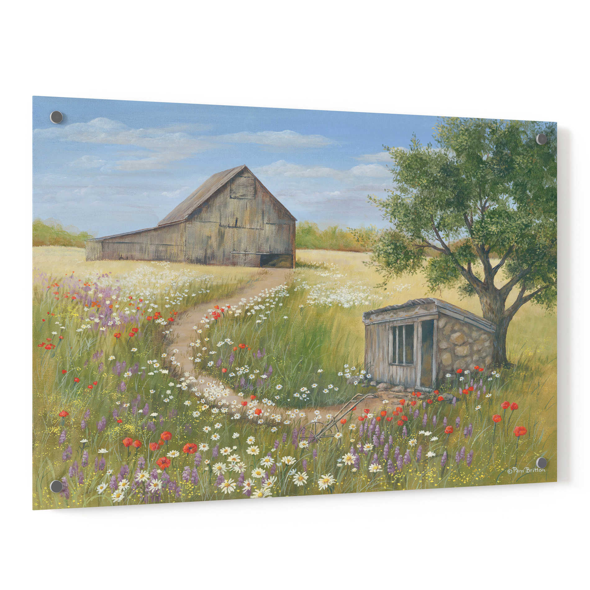 Epic Art 'Country Wildflowers II' by Pam Britton, Acrylic Glass Wall Art,36x24