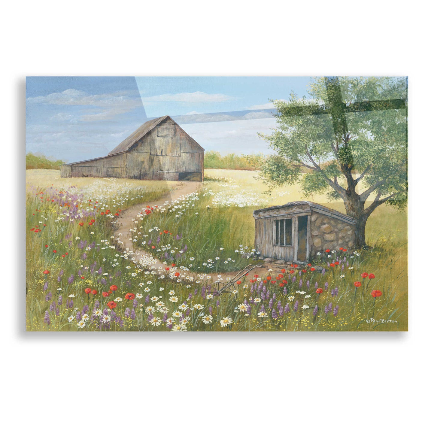 Epic Art 'Country Wildflowers II' by Pam Britton, Acrylic Glass Wall Art