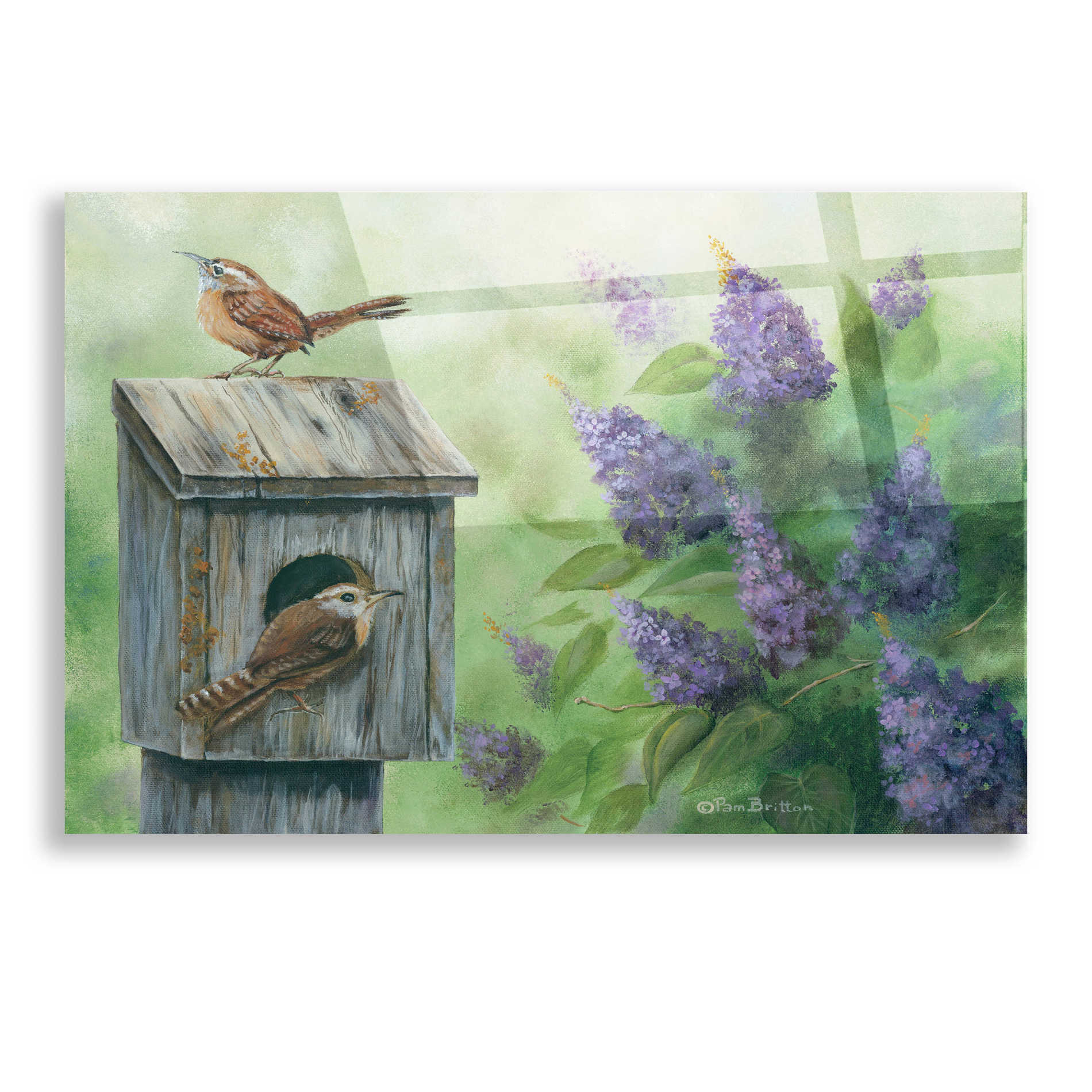 Epic Art 'Wrens & Lilacs' by Pam Britton, Acrylic Glass Wall Art,16x12