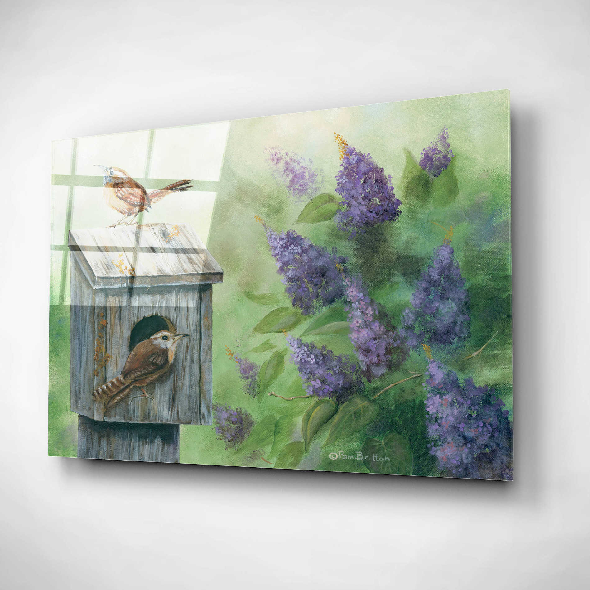 Epic Art 'Wrens & Lilacs' by Pam Britton, Acrylic Glass Wall Art,24x16